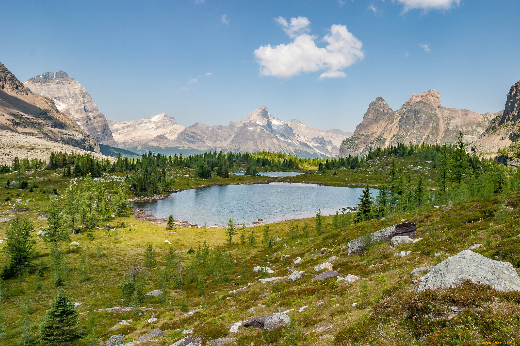 природа, реки, озера, лес, река