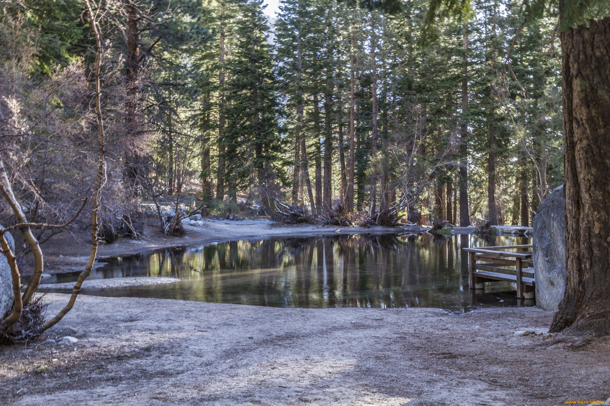 природа, реки, озера, простор