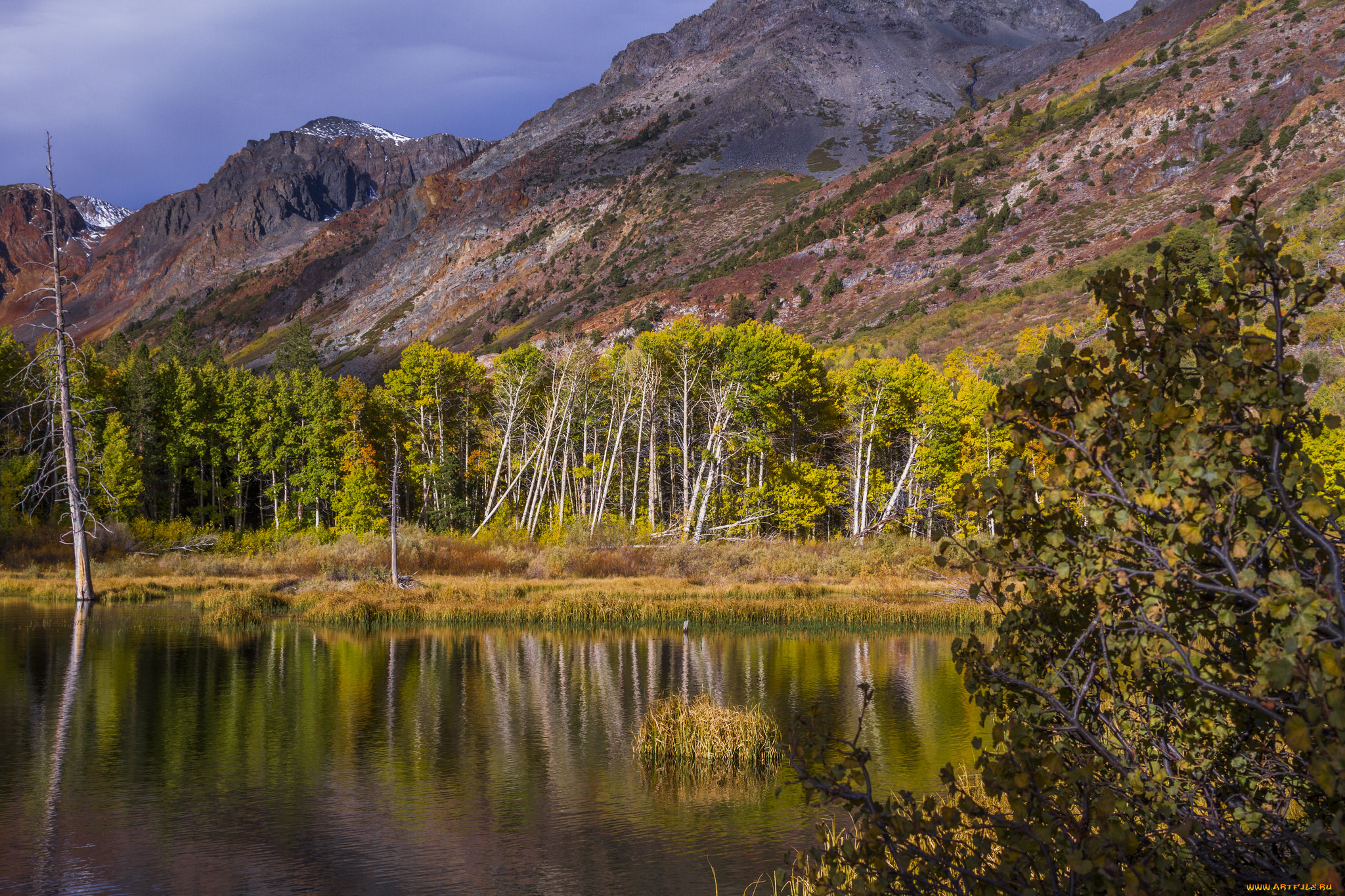 природа, реки, озера, простор