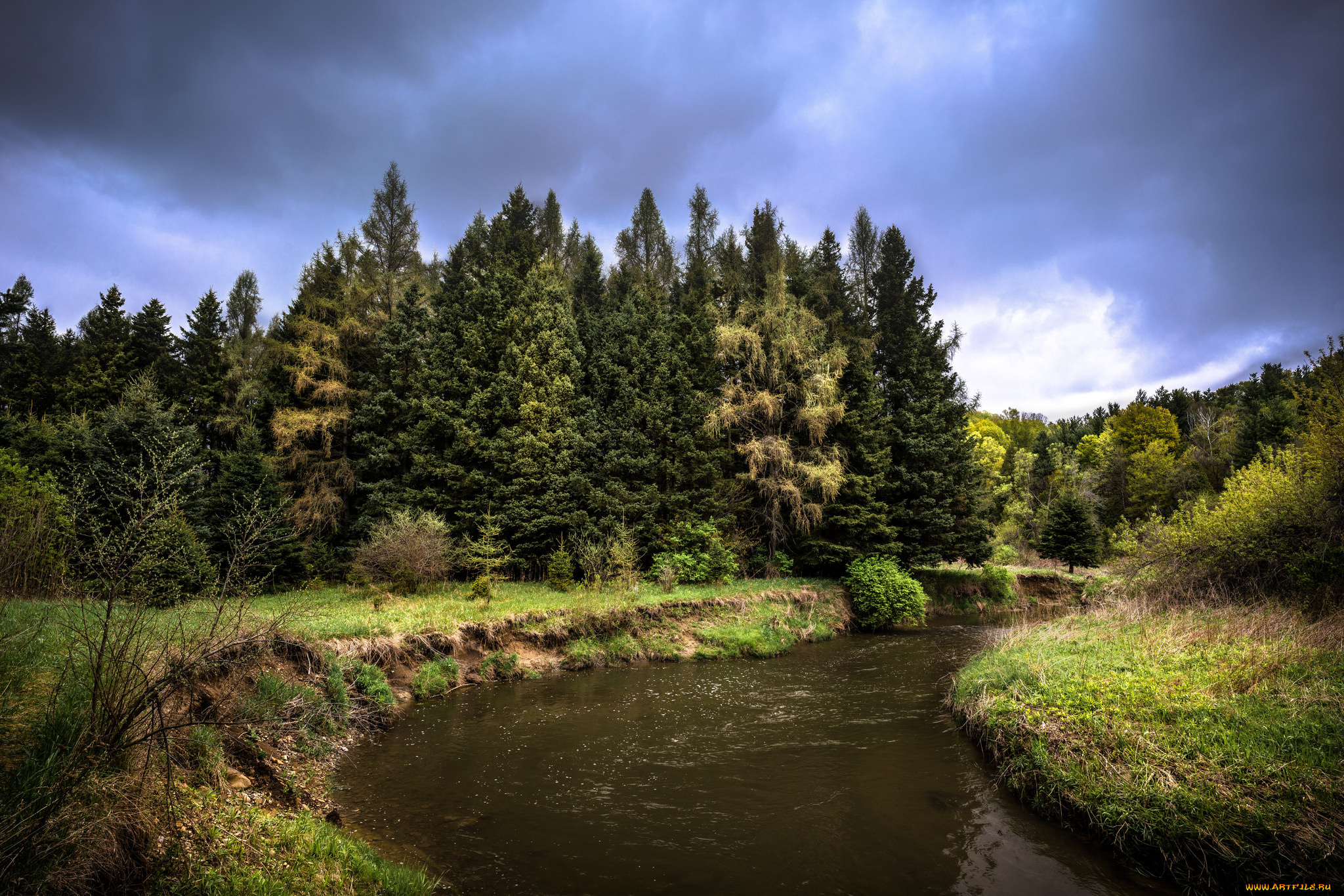 природа, реки, озера, лес, река