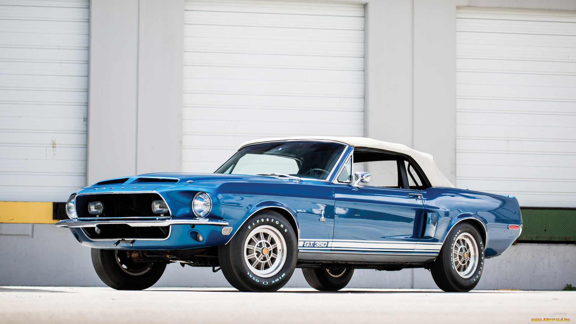 автомобили, mustang