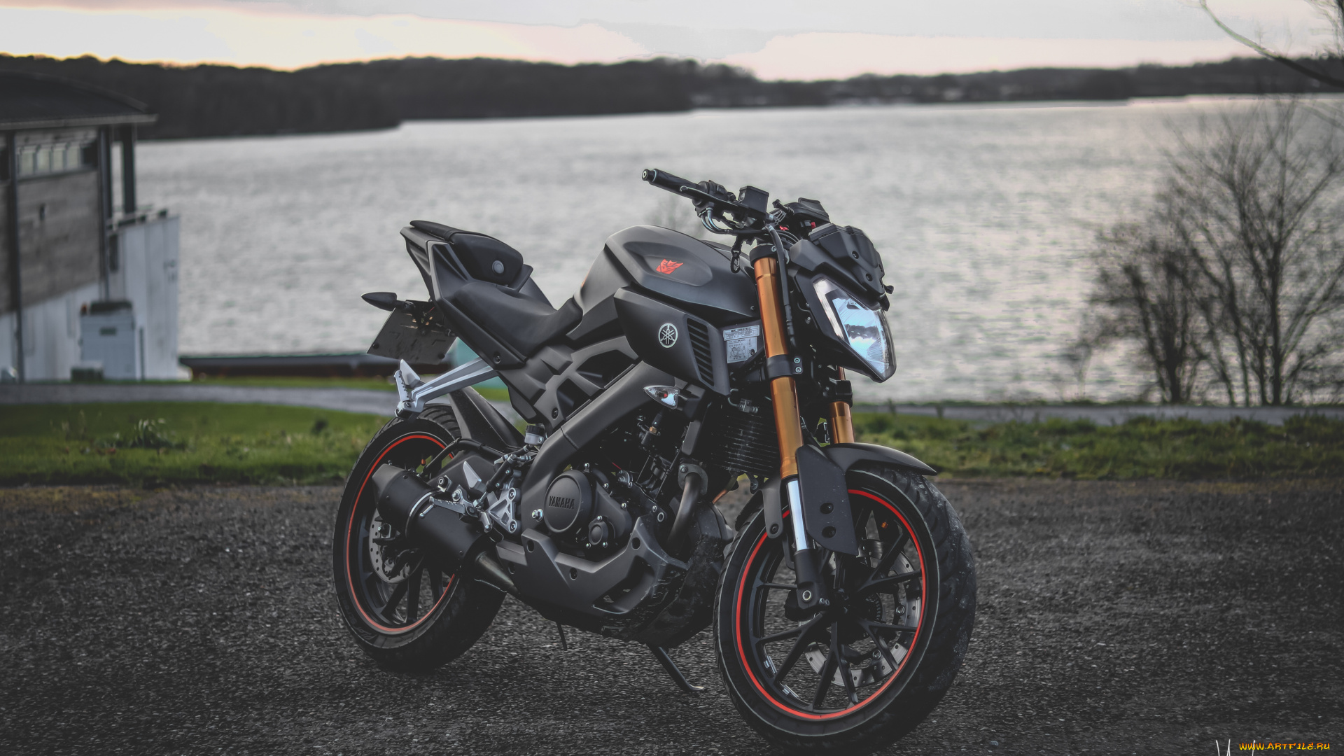 yamaha, mt125, мотоциклы, yamaha, мотоцикл, ямаха, mt125, берег