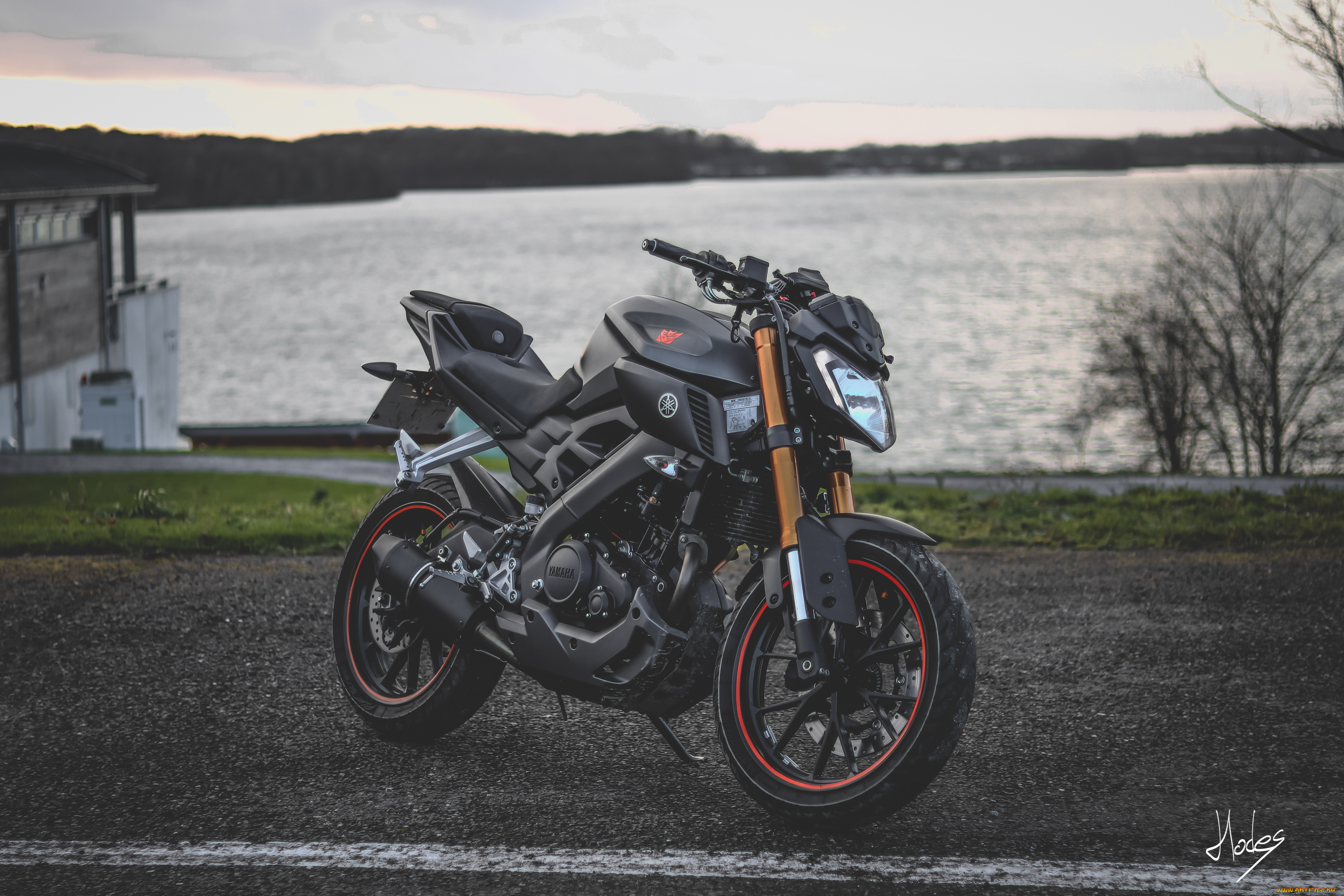 yamaha, mt125, мотоциклы, yamaha, мотоцикл, ямаха, mt125, берег