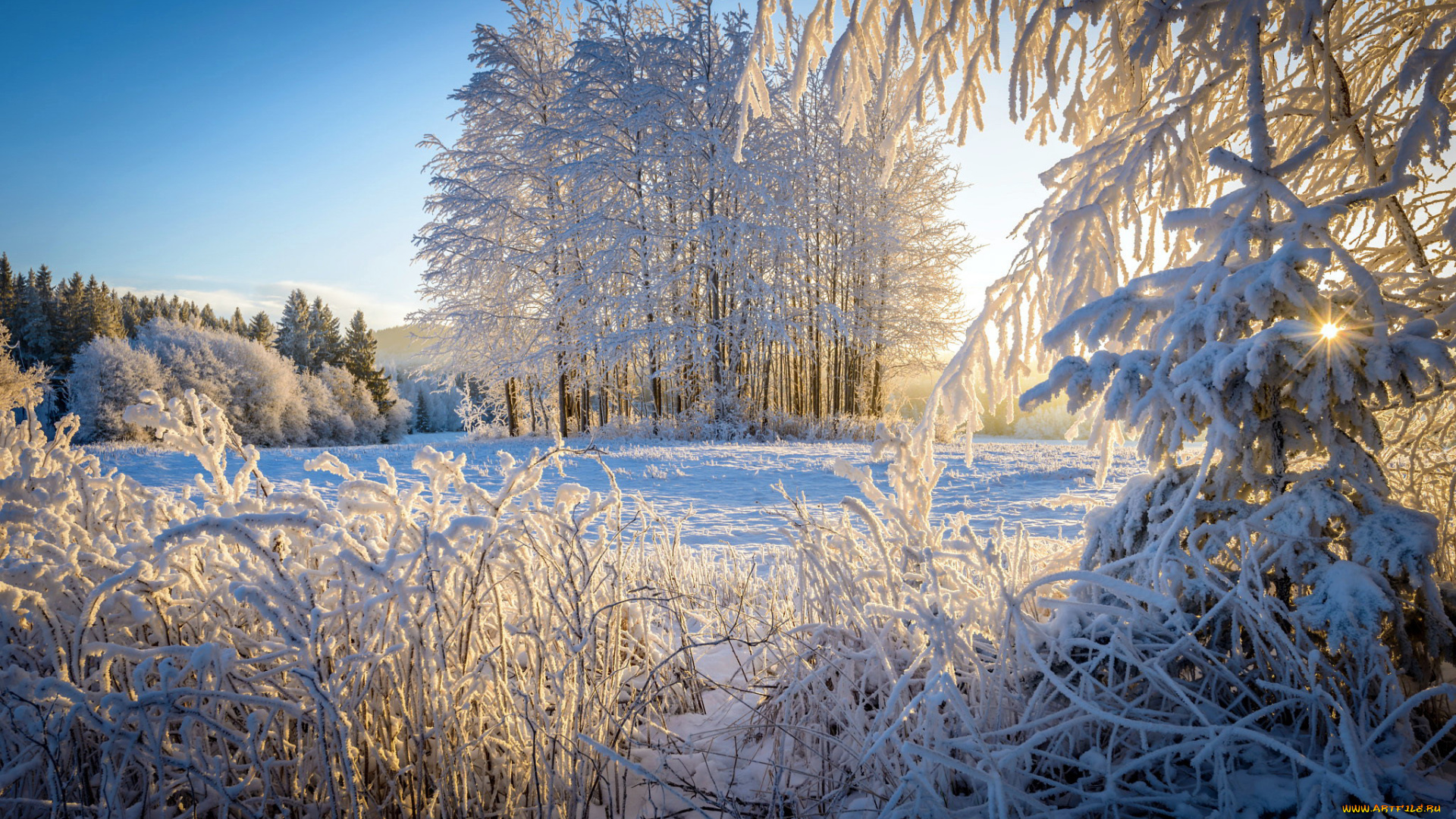 природа, зима, снег, сугробы