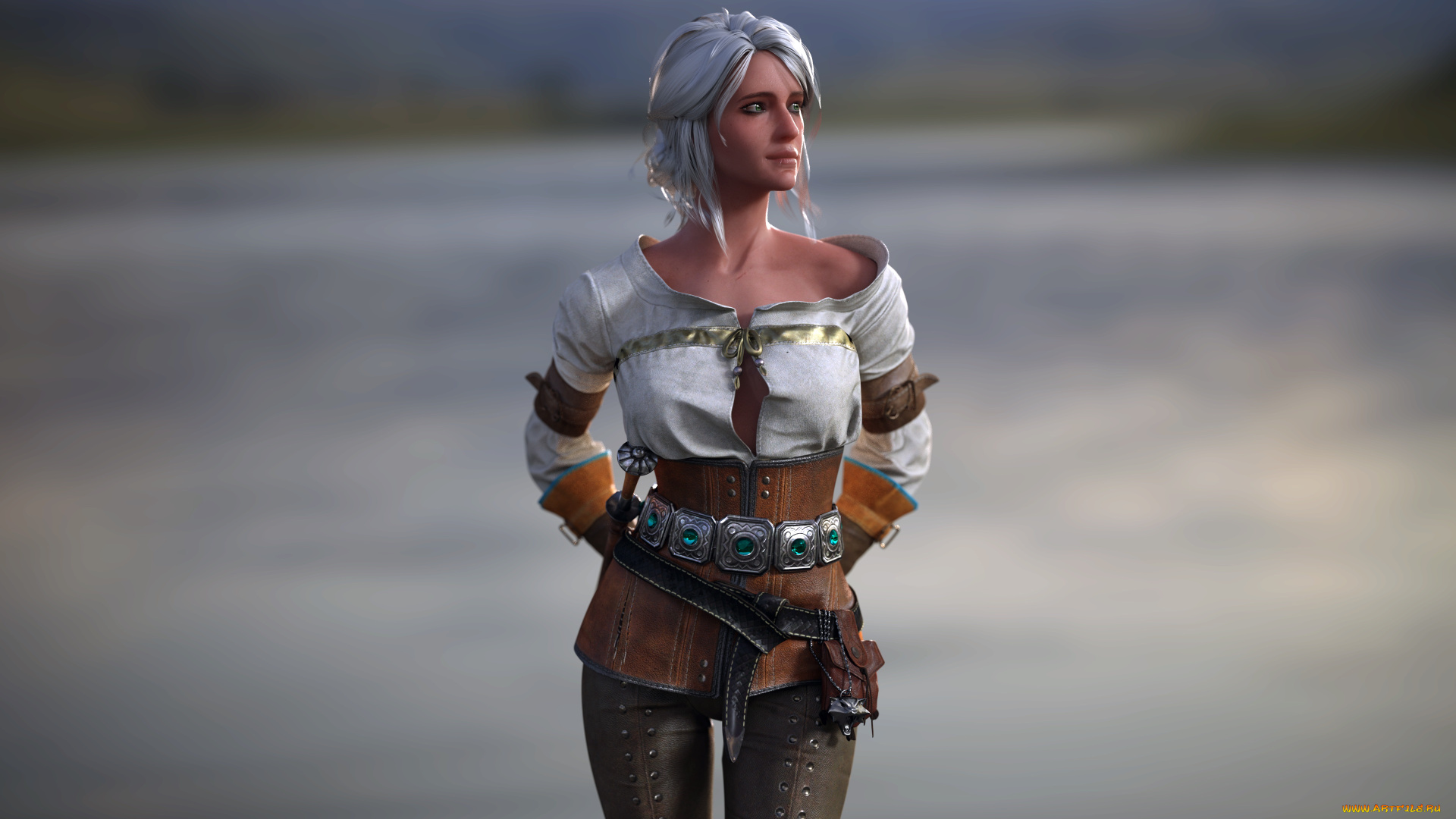 видео, игры, the, witcher, 3, , wild, hunt, девушка, фон, униформа