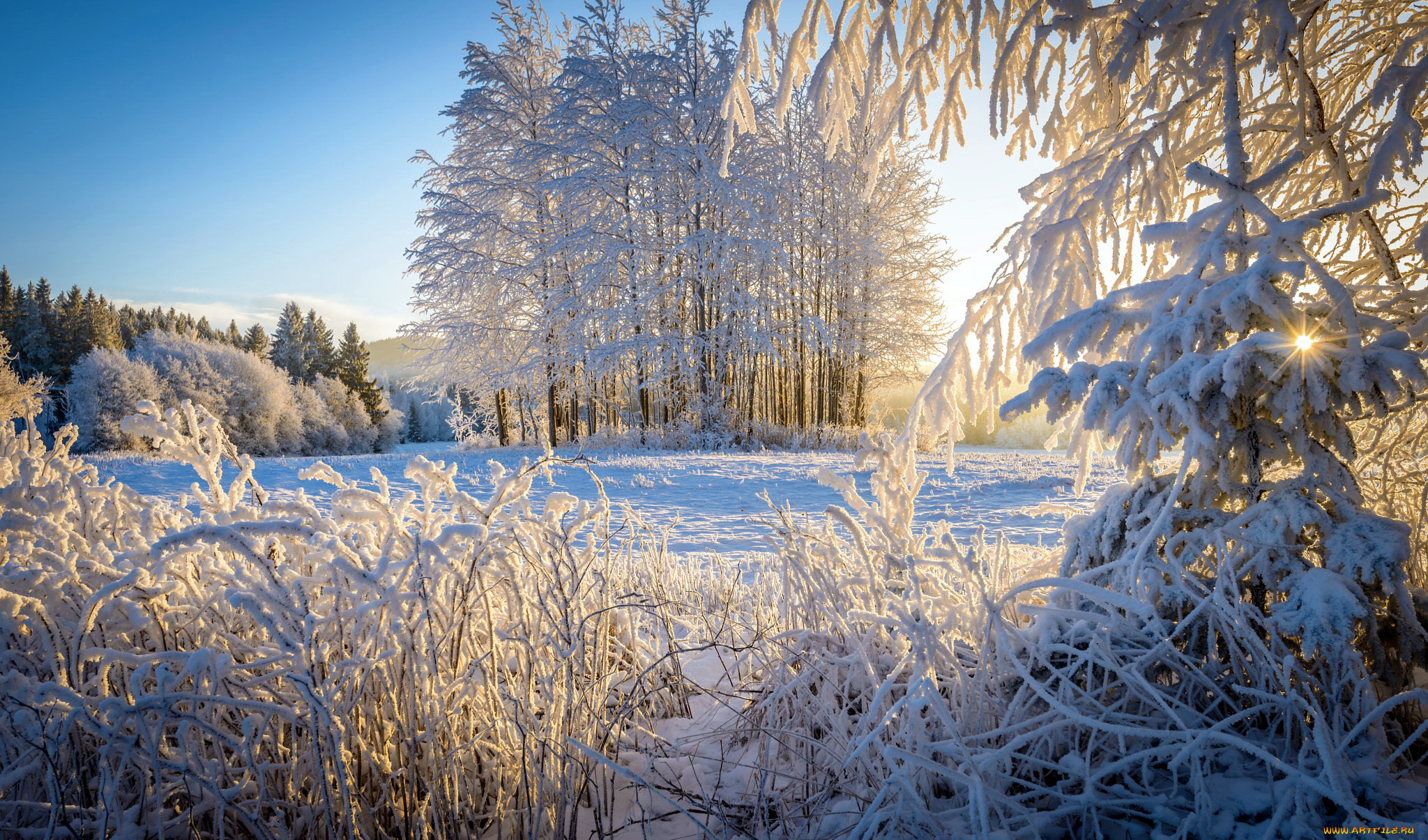 природа, зима, снег, сугробы