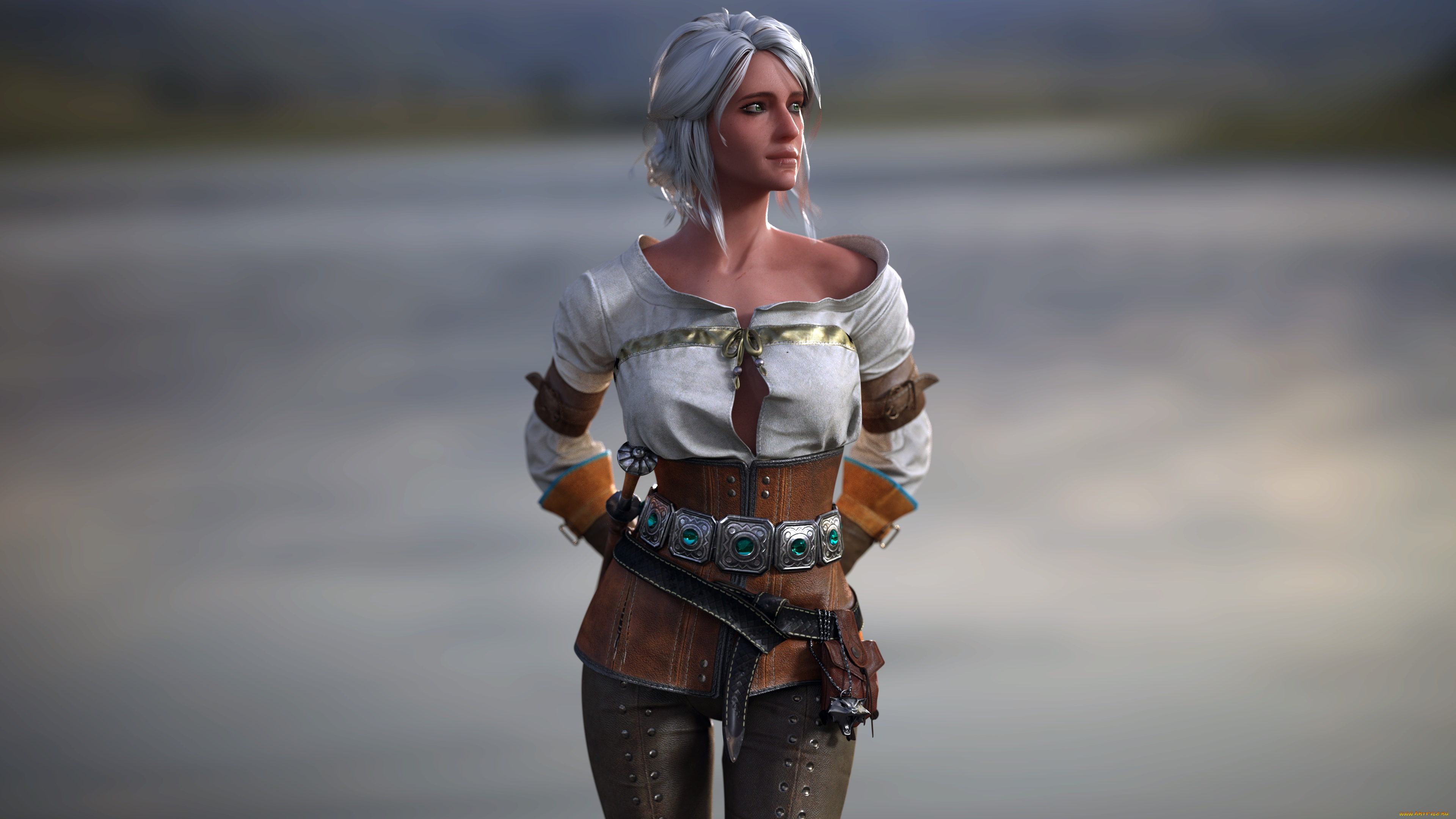 видео, игры, the, witcher, 3, , wild, hunt, девушка, фон, униформа