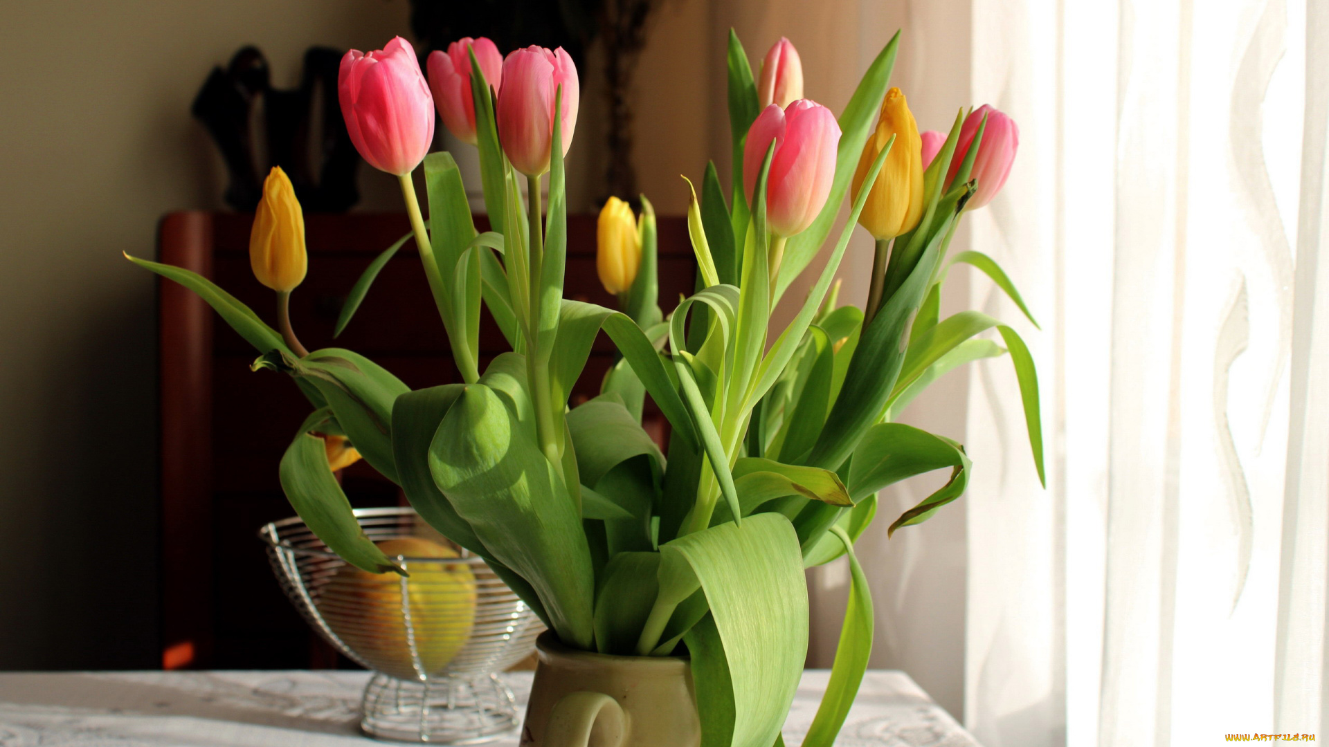 цветы, тюльпаны, букет, бутоны