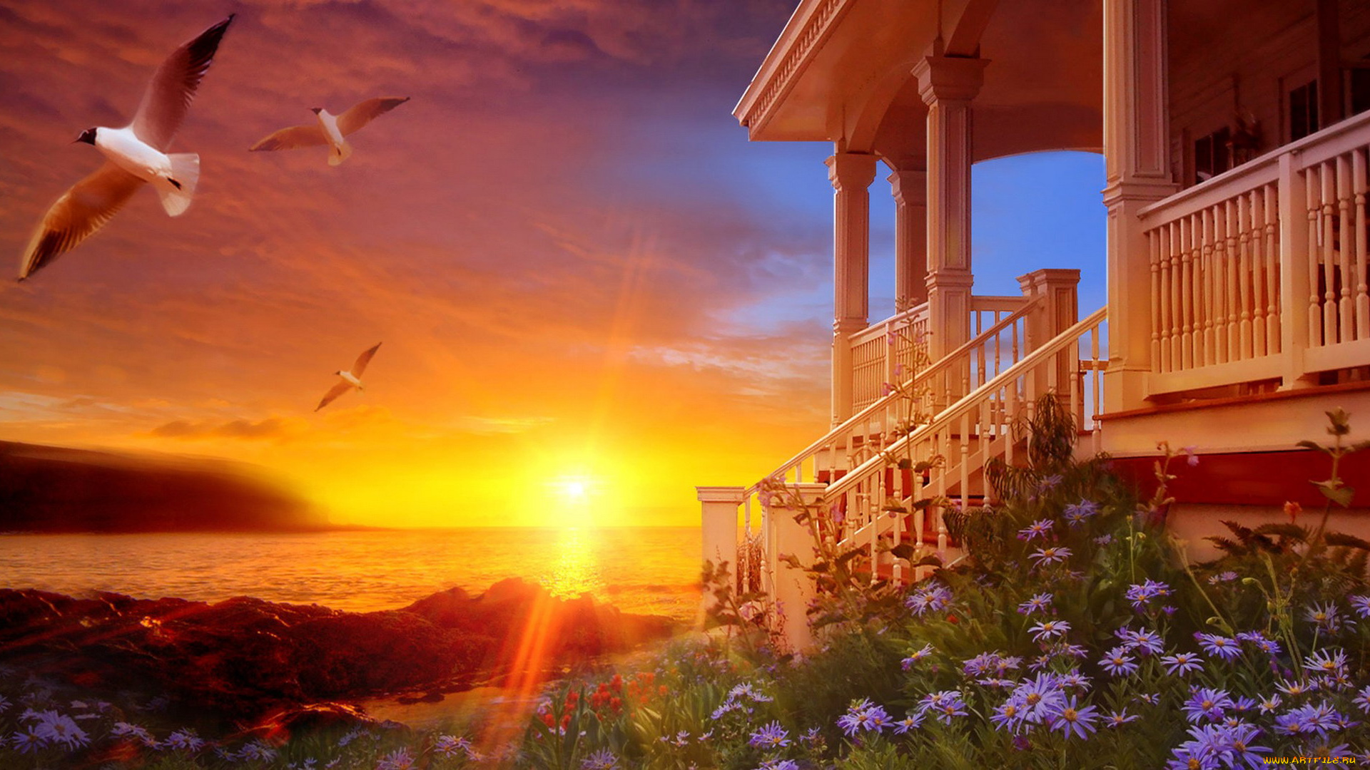 рисованное, природа, чайки, море, берег, дом, цветы, закат