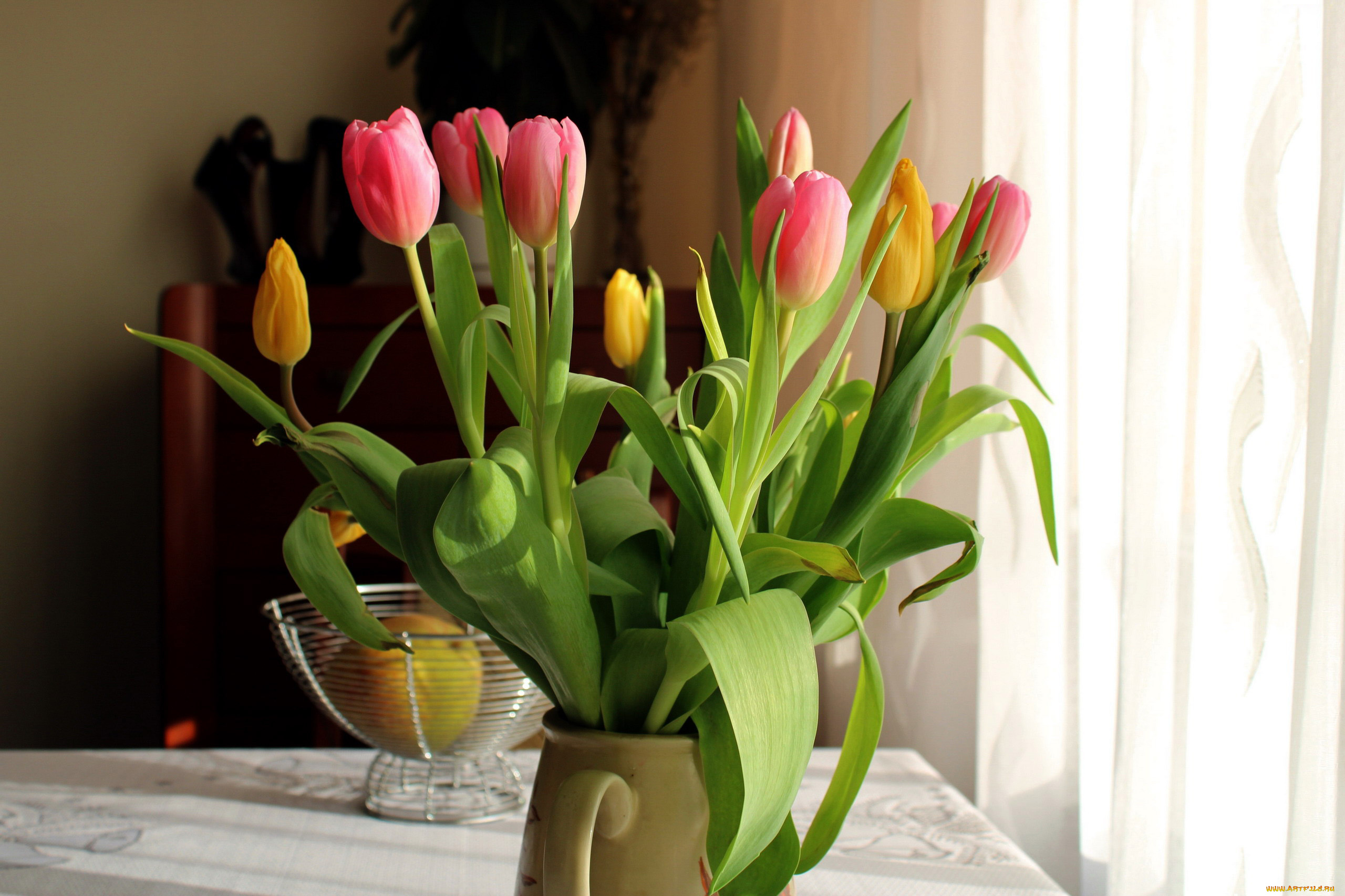 цветы, тюльпаны, букет, бутоны