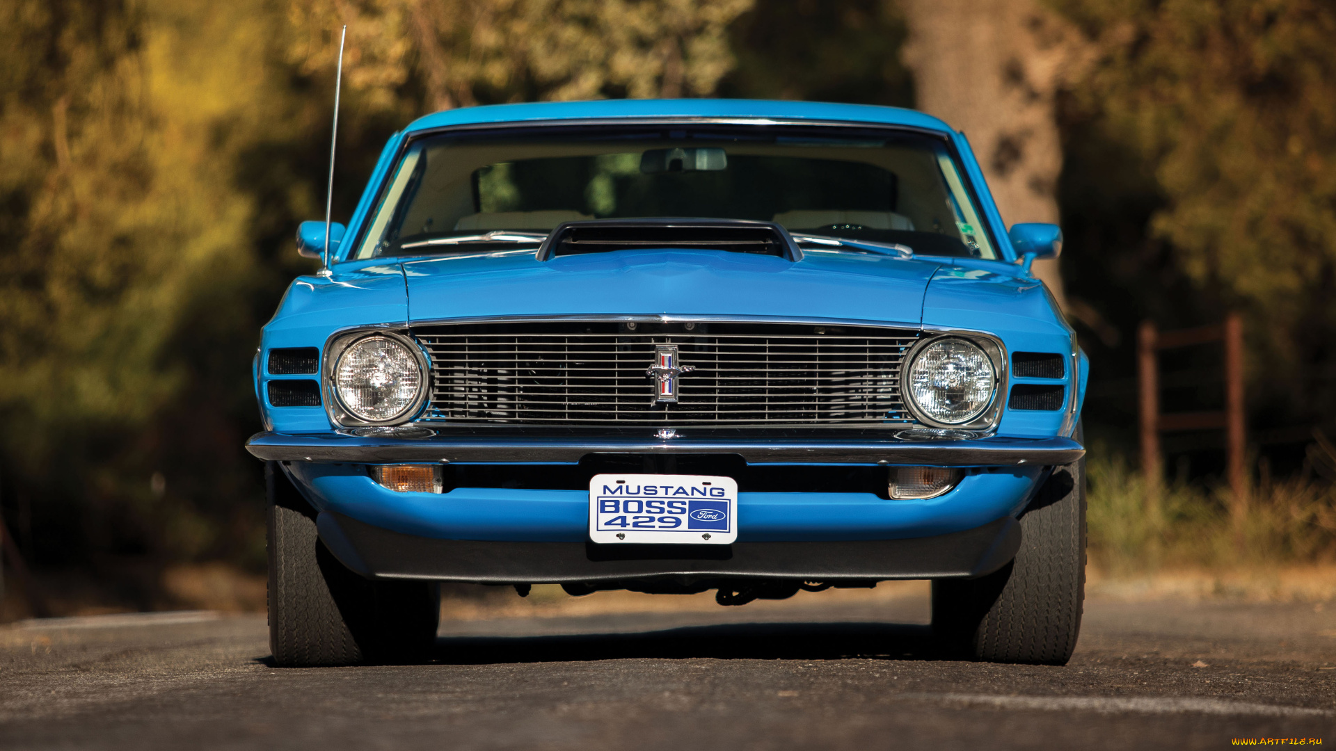 автомобили, mustang