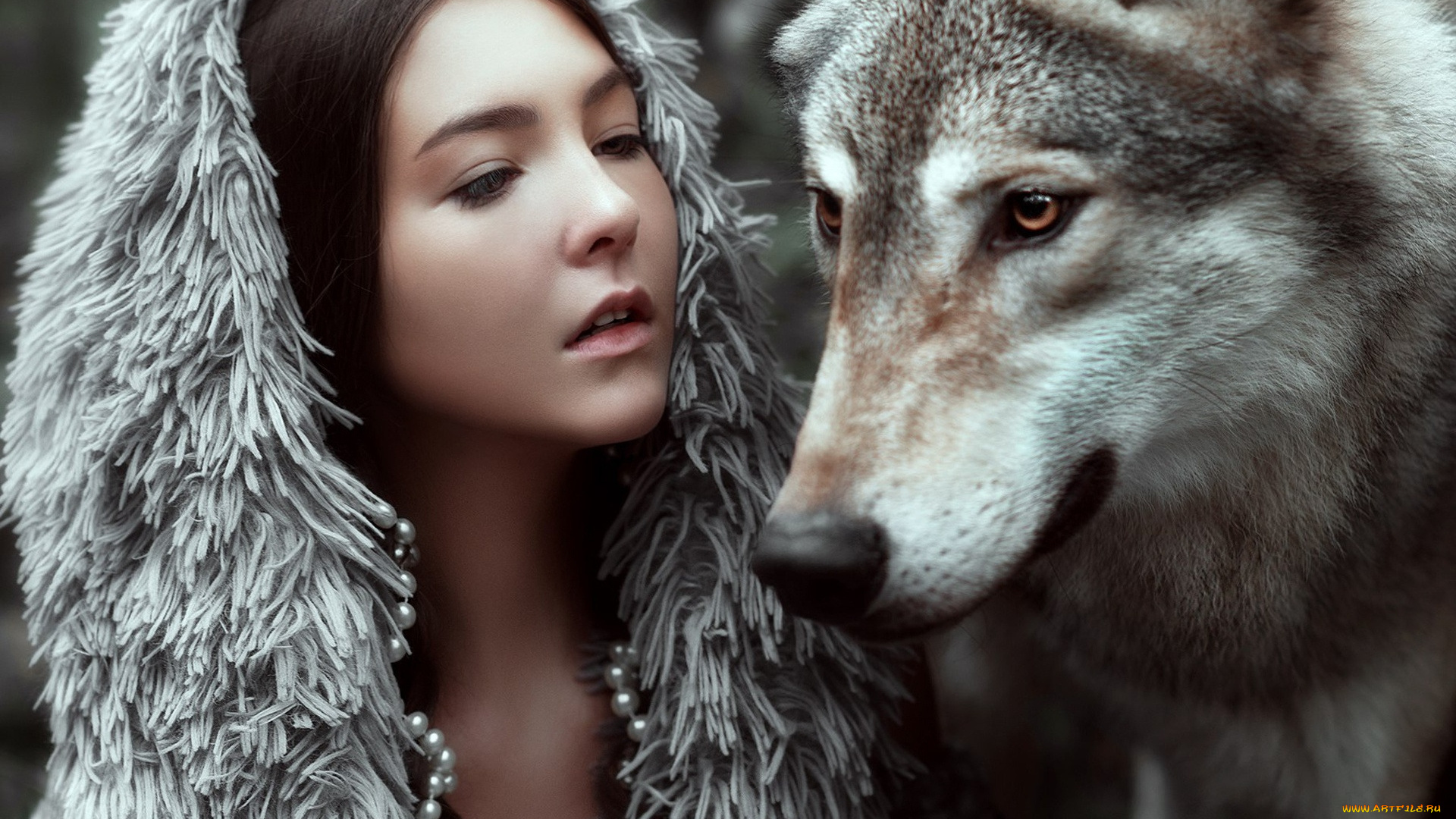 девушки, -, креатив, , косплей, брюнетка, волк, мария, липина