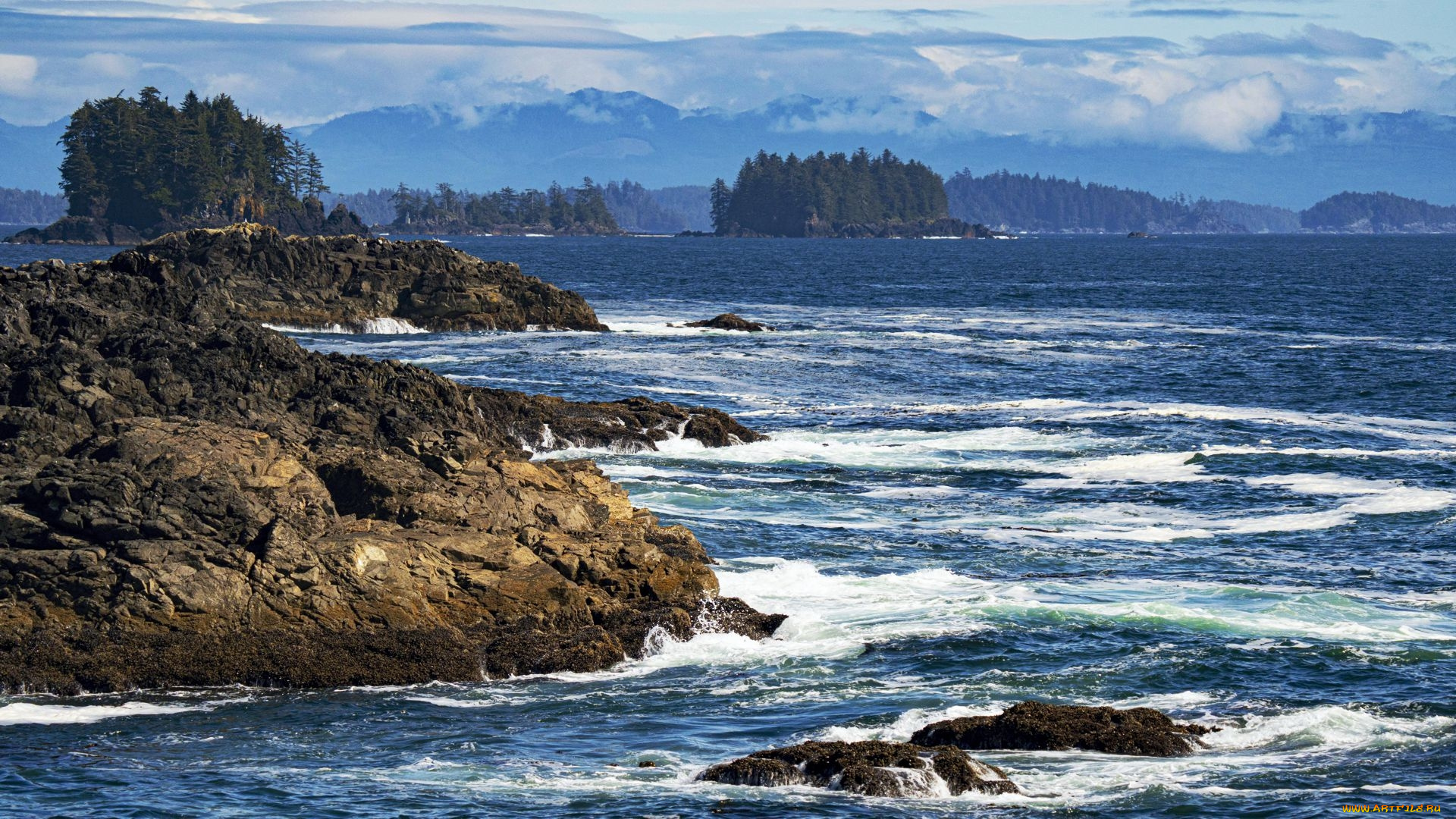 ucluelet, british, columbia, природа, побережье, british, columbia