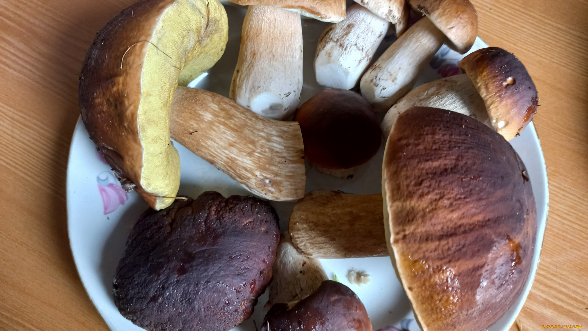 еда, грибы, , грибные, блюда, боровики