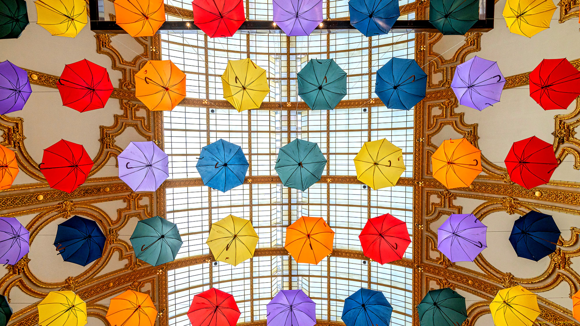 разное, сумки, , кошельки, , зонты, зонты