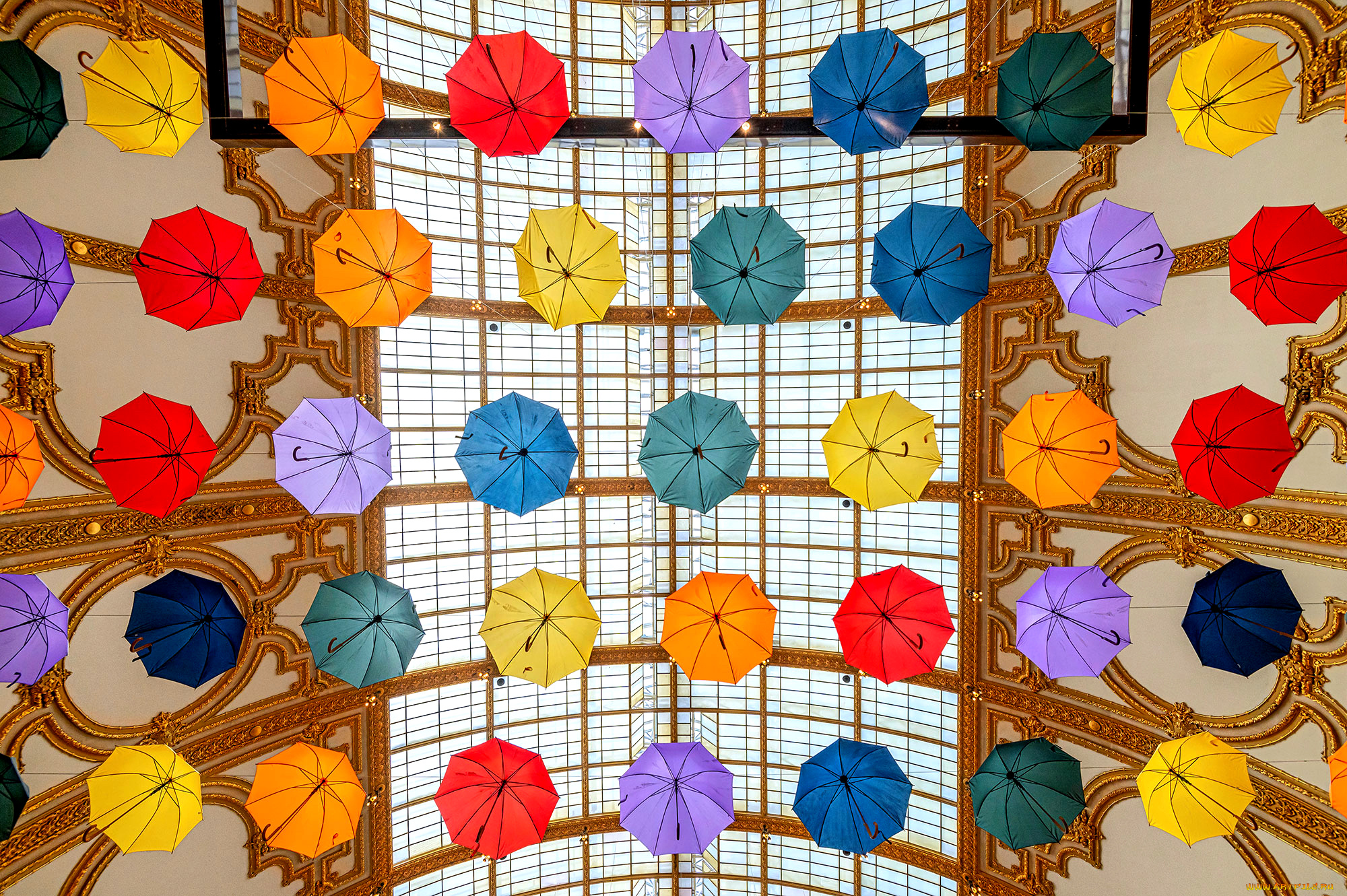 разное, сумки, , кошельки, , зонты, зонты