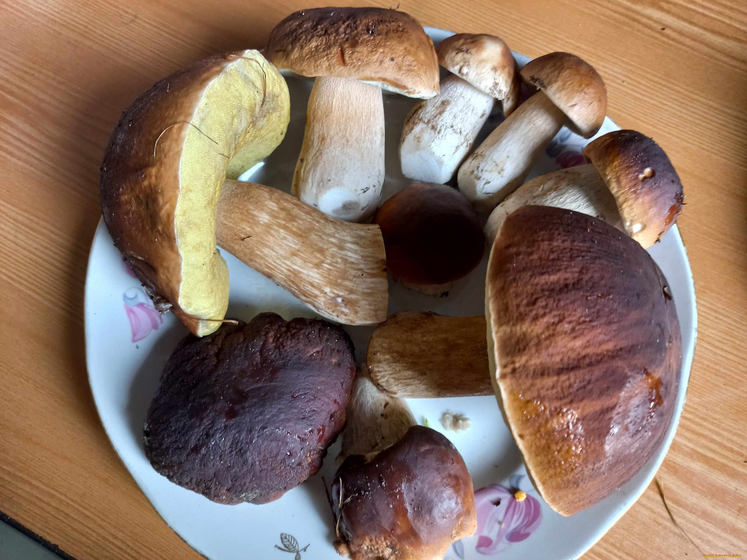 еда, грибы, , грибные, блюда, боровики