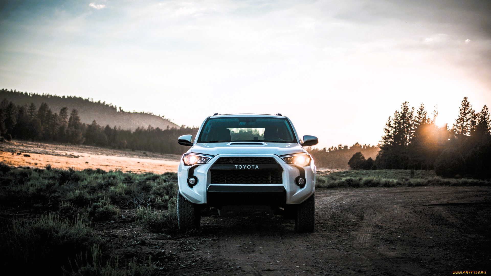 toyota, tacoma, автомобили, toyota, белый, дорога, грунтовка, горы, лес