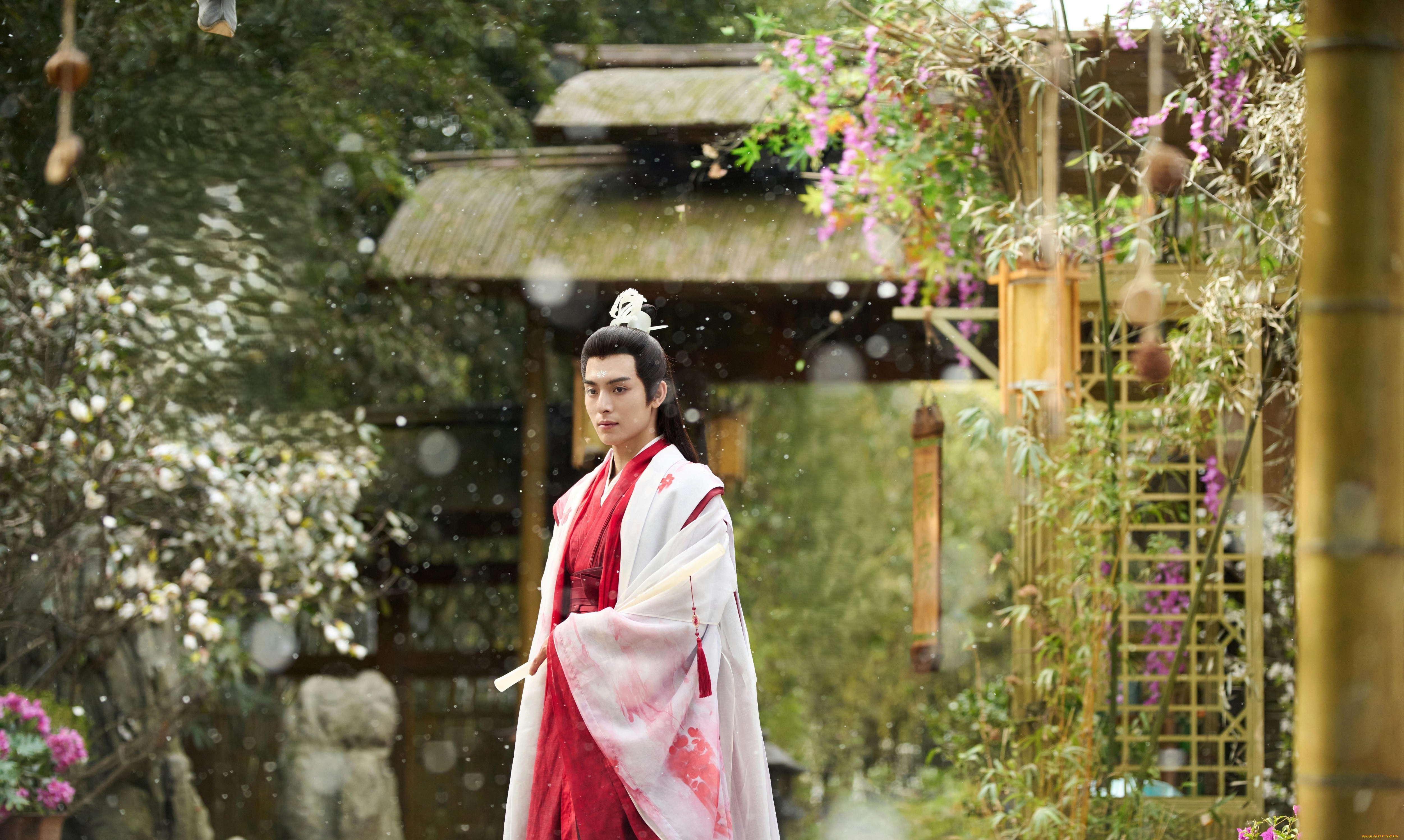 кино, фильмы, love, of, petals, ван, хао, сюань, love, of, petals