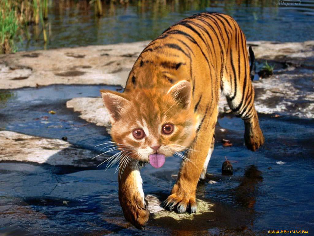 ну, дрянь, эти, молодильные, яблоки, надо, водичкой, запить, юмор, приколы