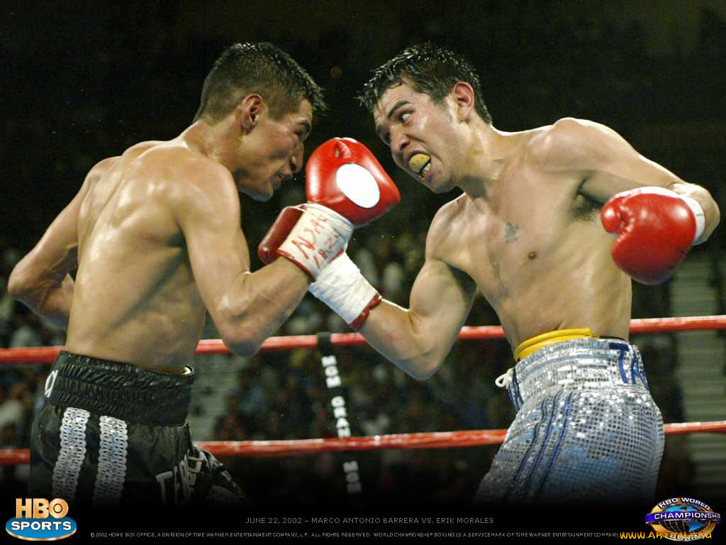 спорт, бокс