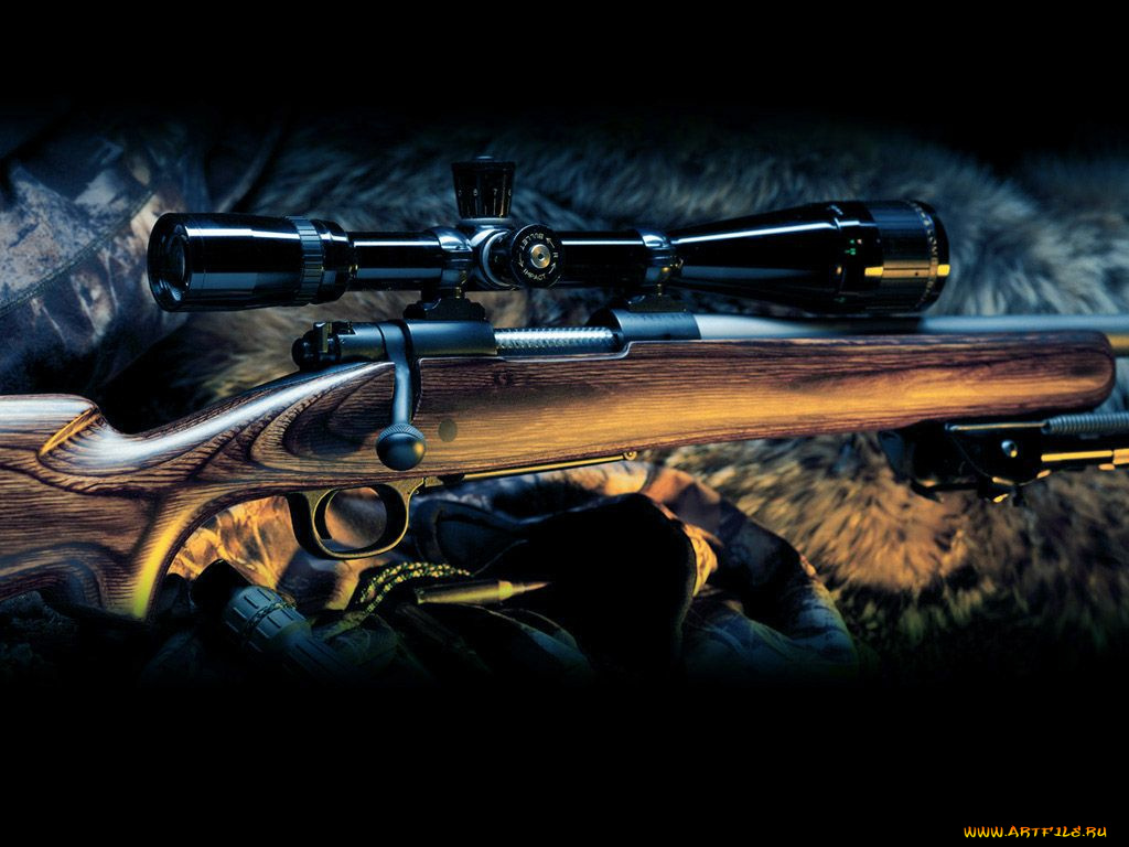оружие, винтовки, прицеломприцелы