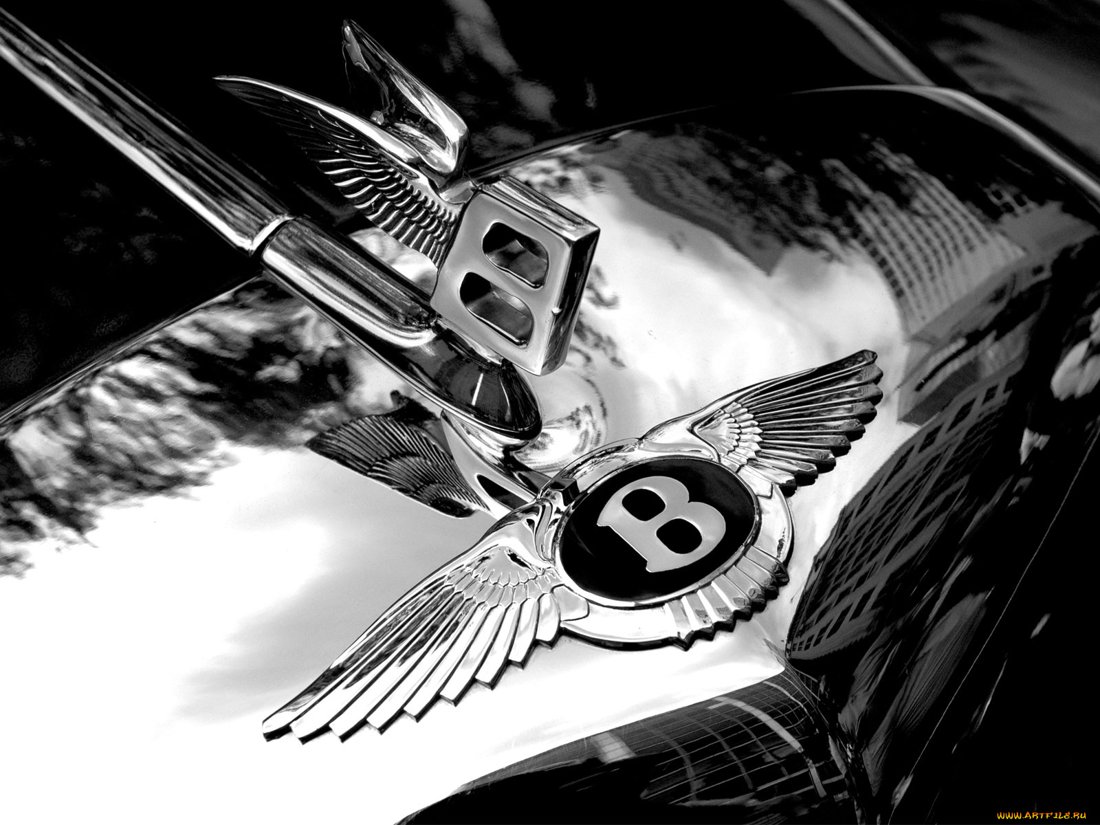 автомобили, фрагменты, автомобиля