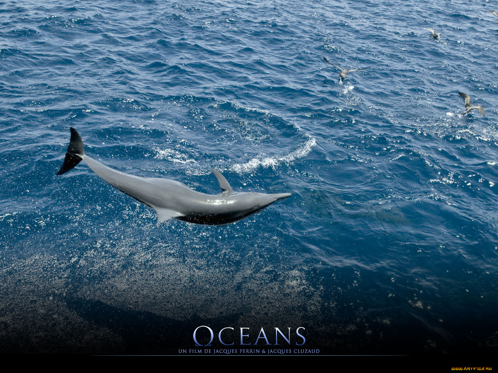 oc&, 233, ans, кино, фильмы