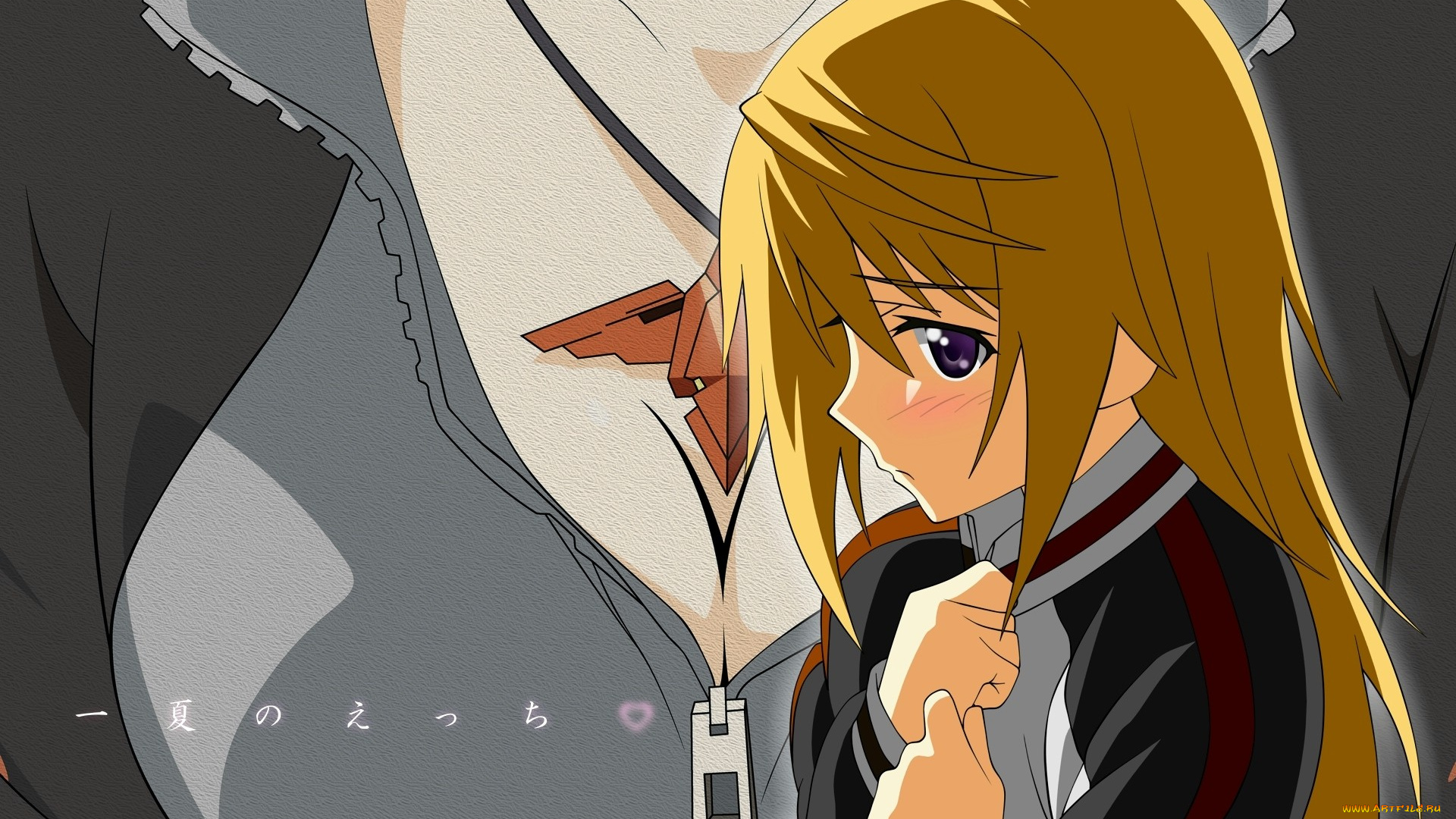 аниме, infinite, stratos