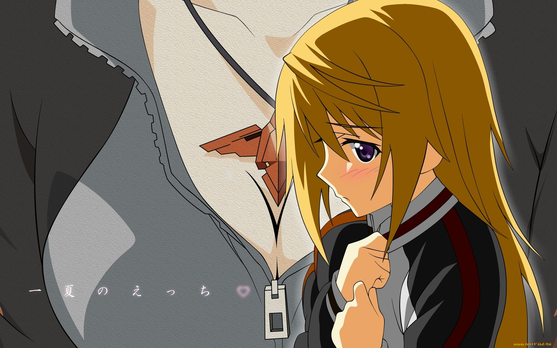 аниме, infinite, stratos