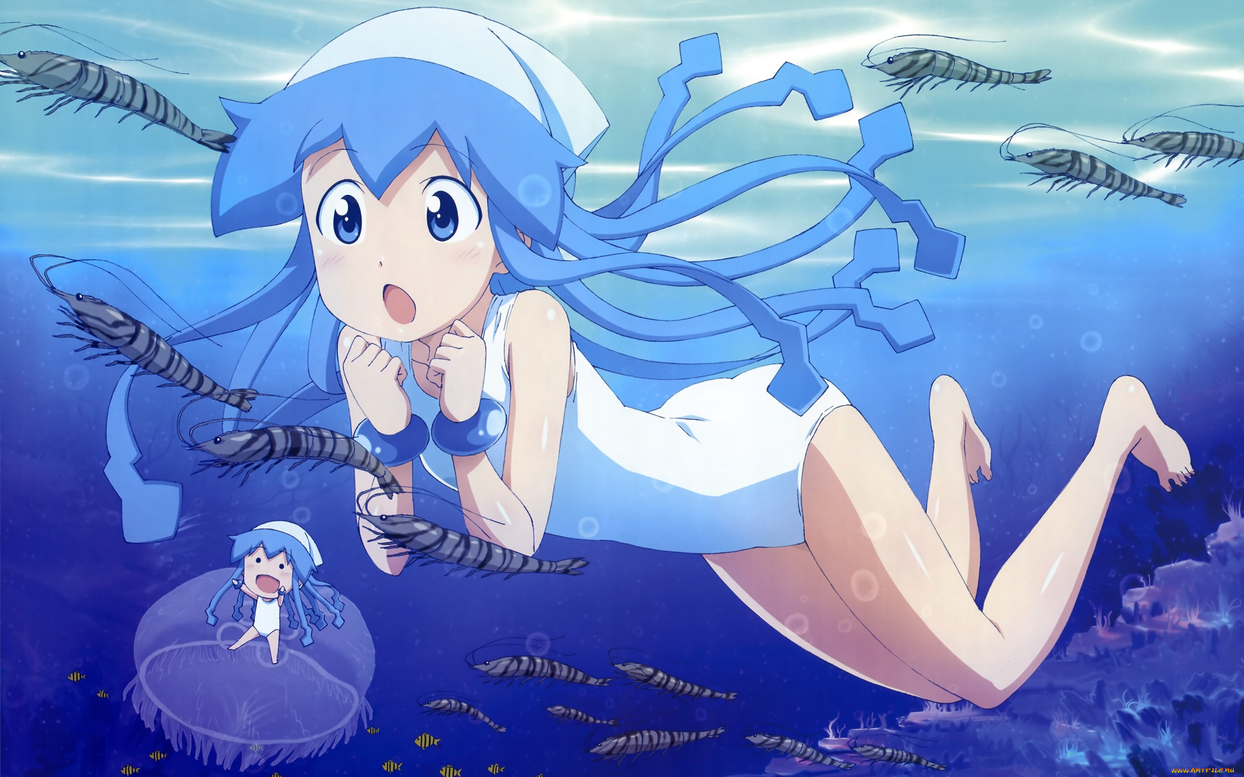 аниме, shinryaku, ika, musume, девушка