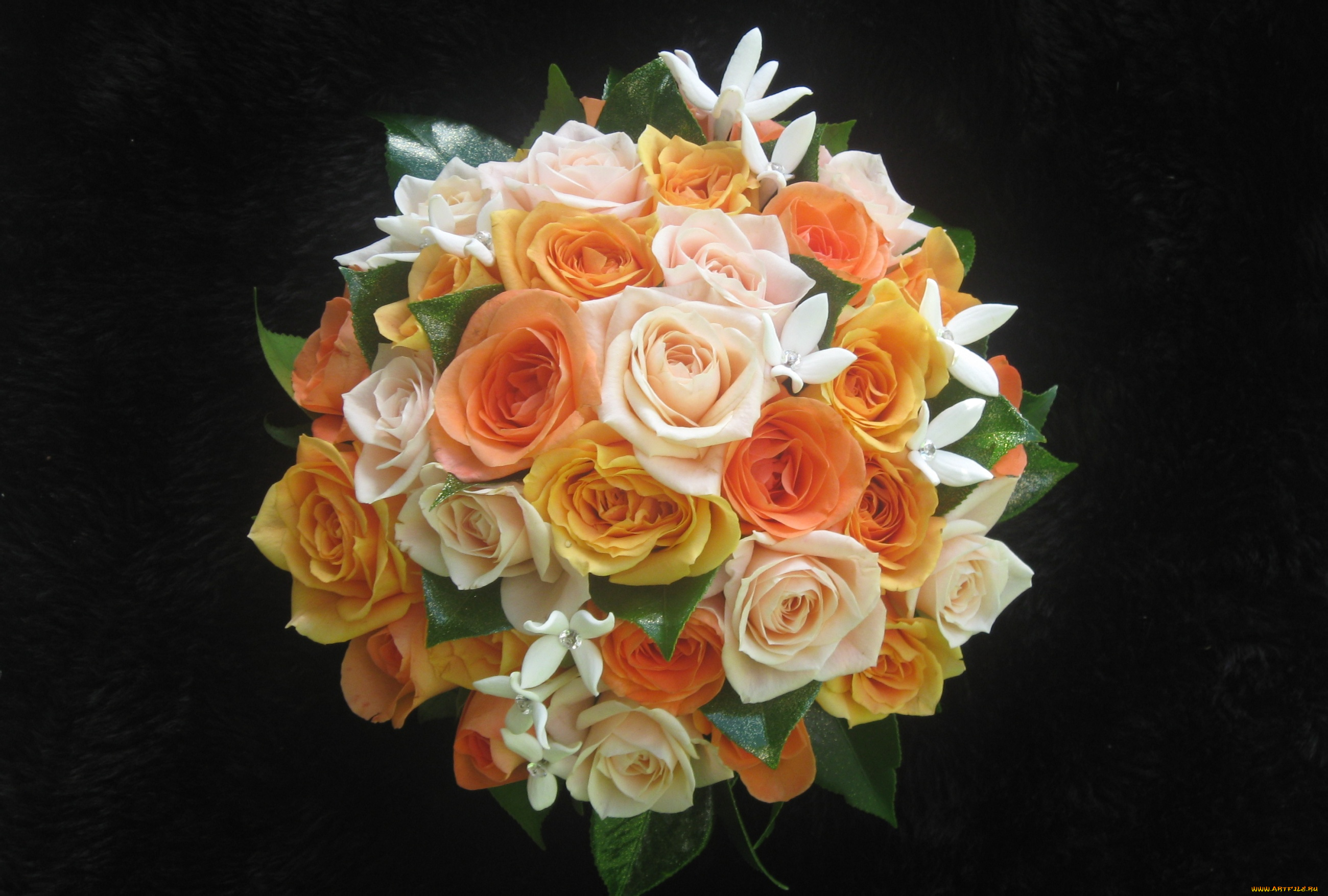 цветы, букеты, композиции, стефанотис, розы