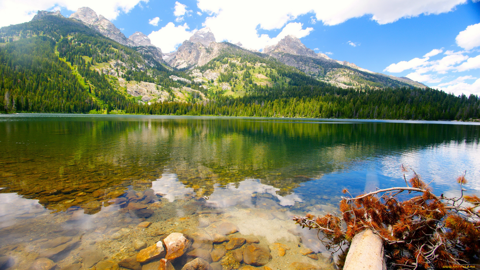 bradley, lake, grand, teton, national, park, wyoming, природа, реки, озера, озеро, горы
