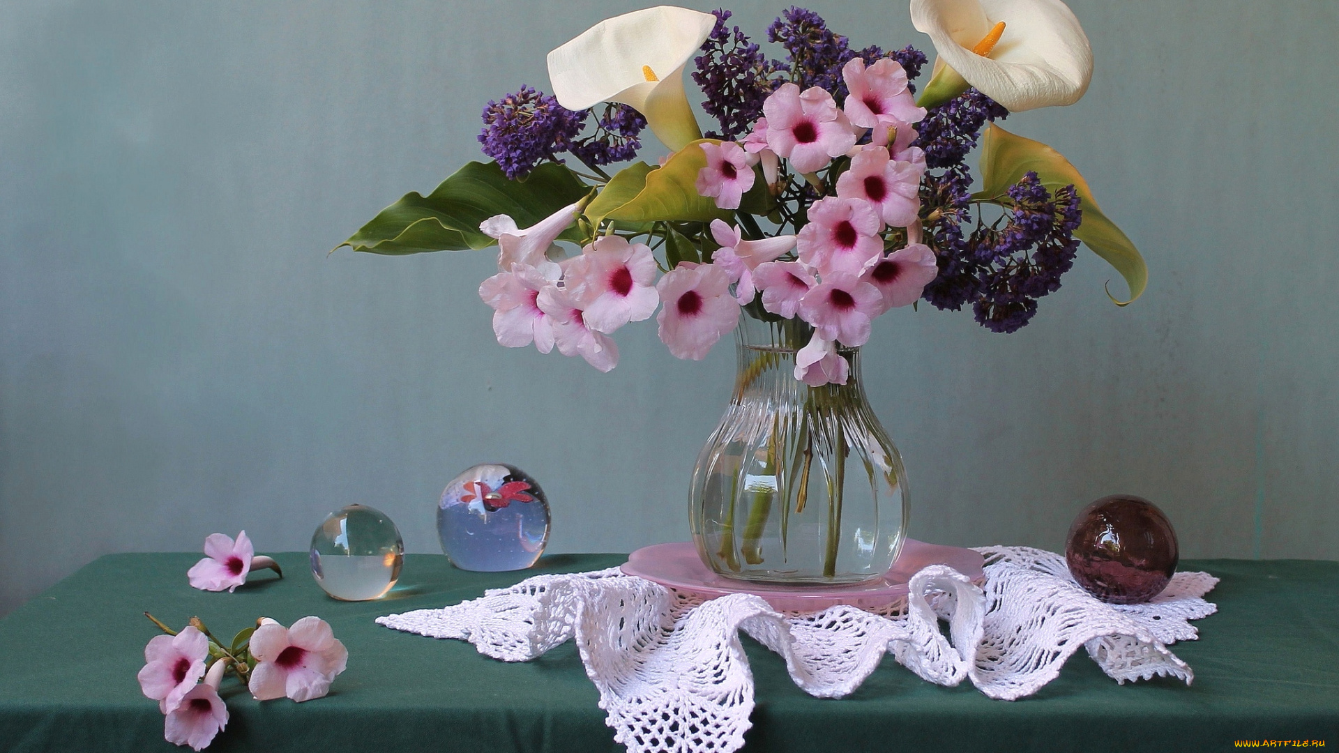 цветы, букеты, композиции, каллы, кампсис, шары