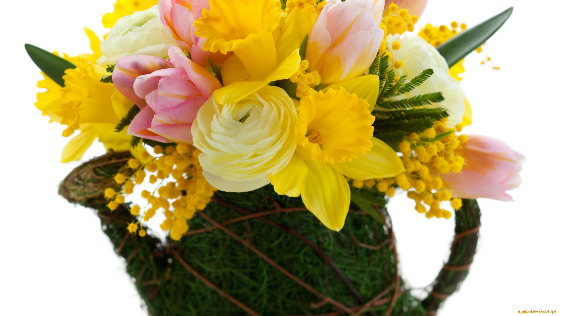 цветы, букеты, композиции, мимоза, нарциссы, тюльпаны
