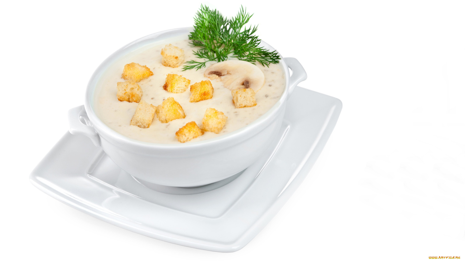 еда, первые, блюда, суп