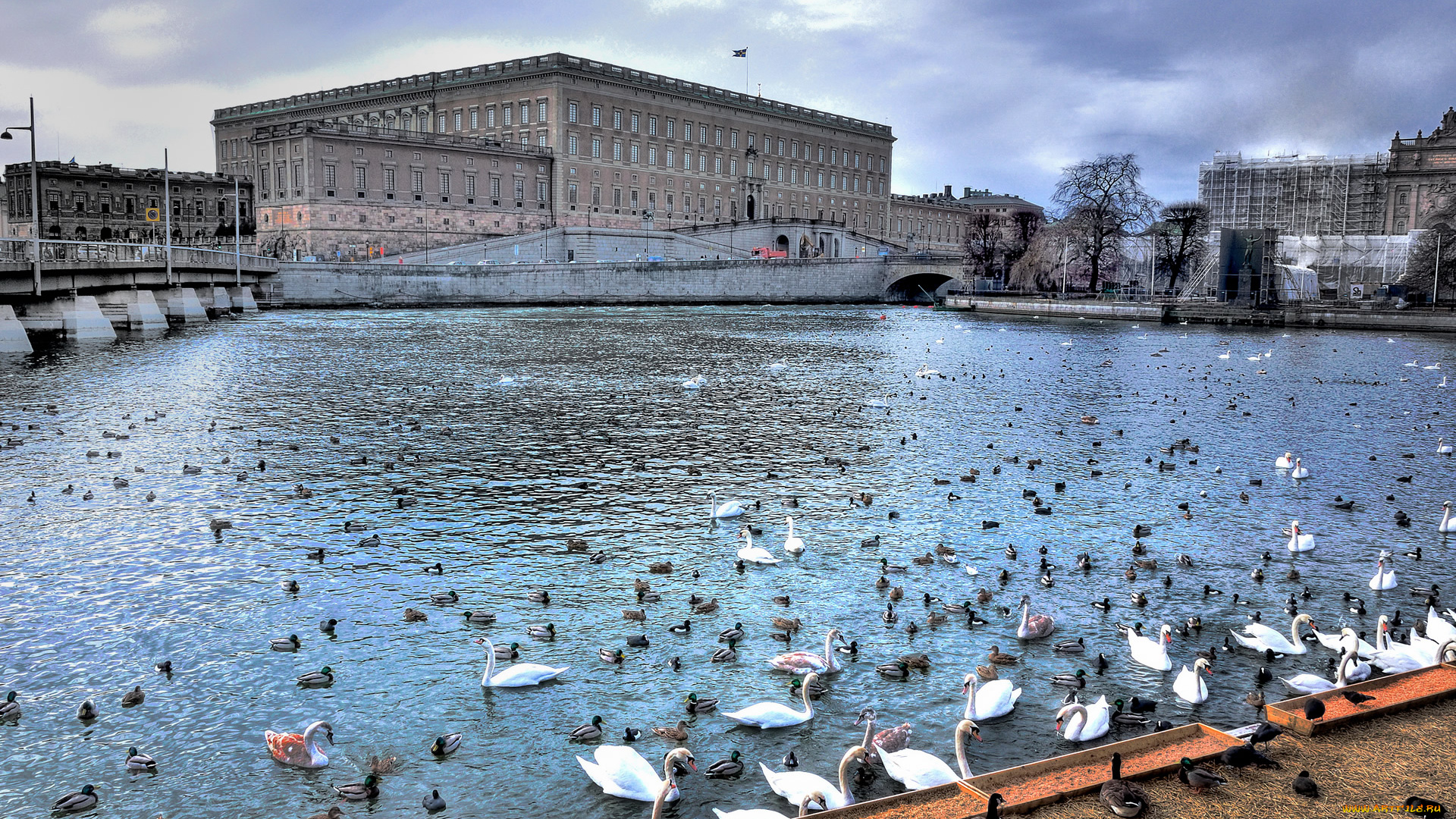 города, стокгольм, швеция, stockholm, город
