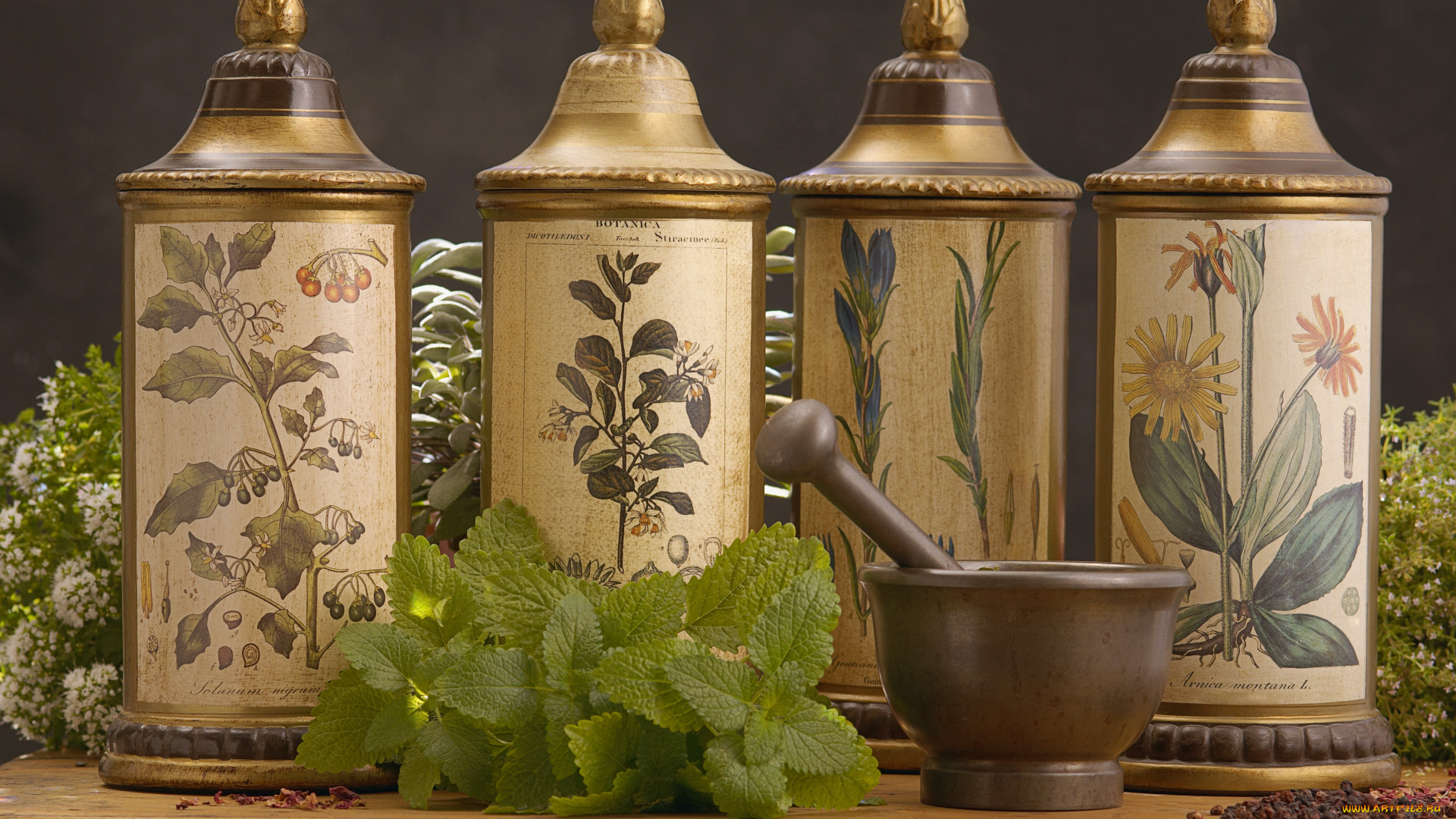 herbs, and, spices, еда, крупы, зерно, специи, семечки, мята, ступка, пряности, приправы