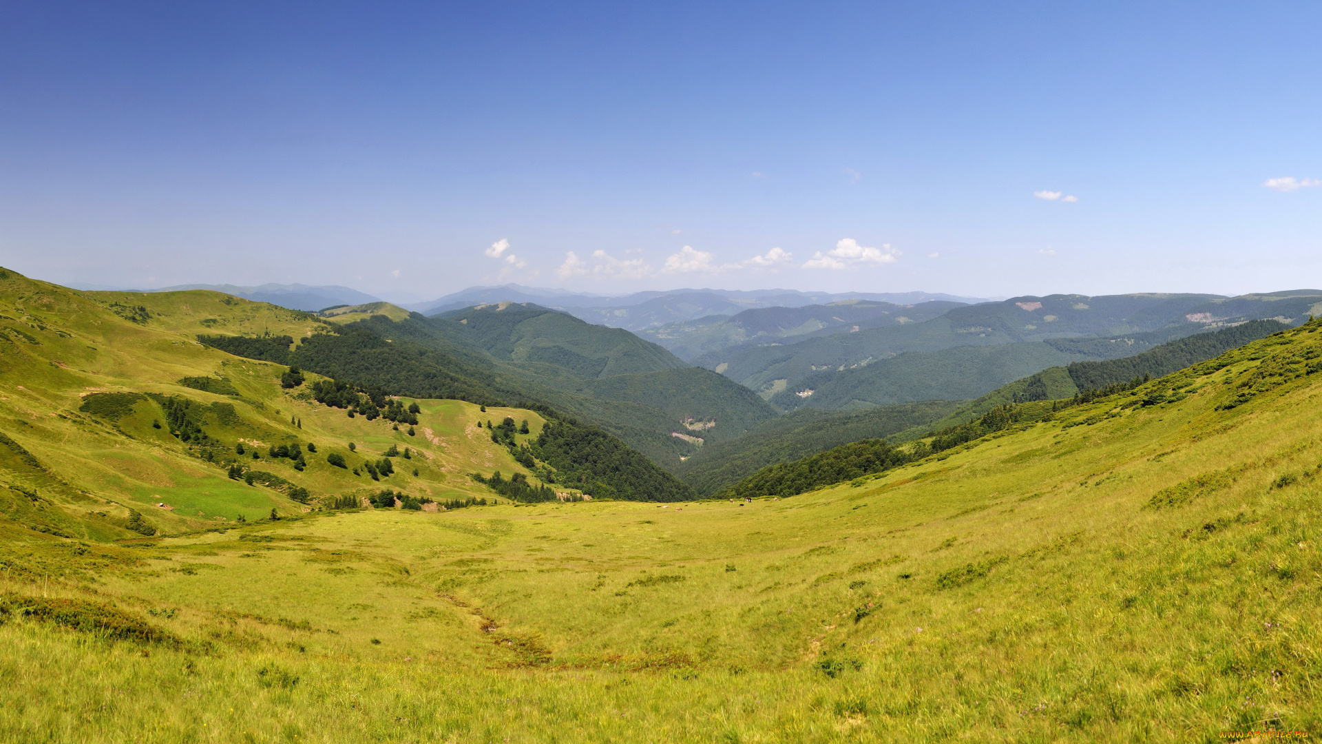 карпати, украина, природа, горы