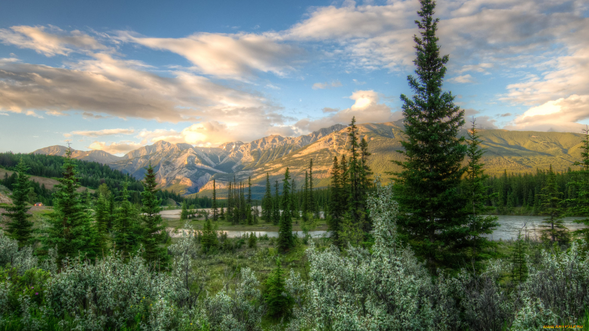 природа, деревья, канада