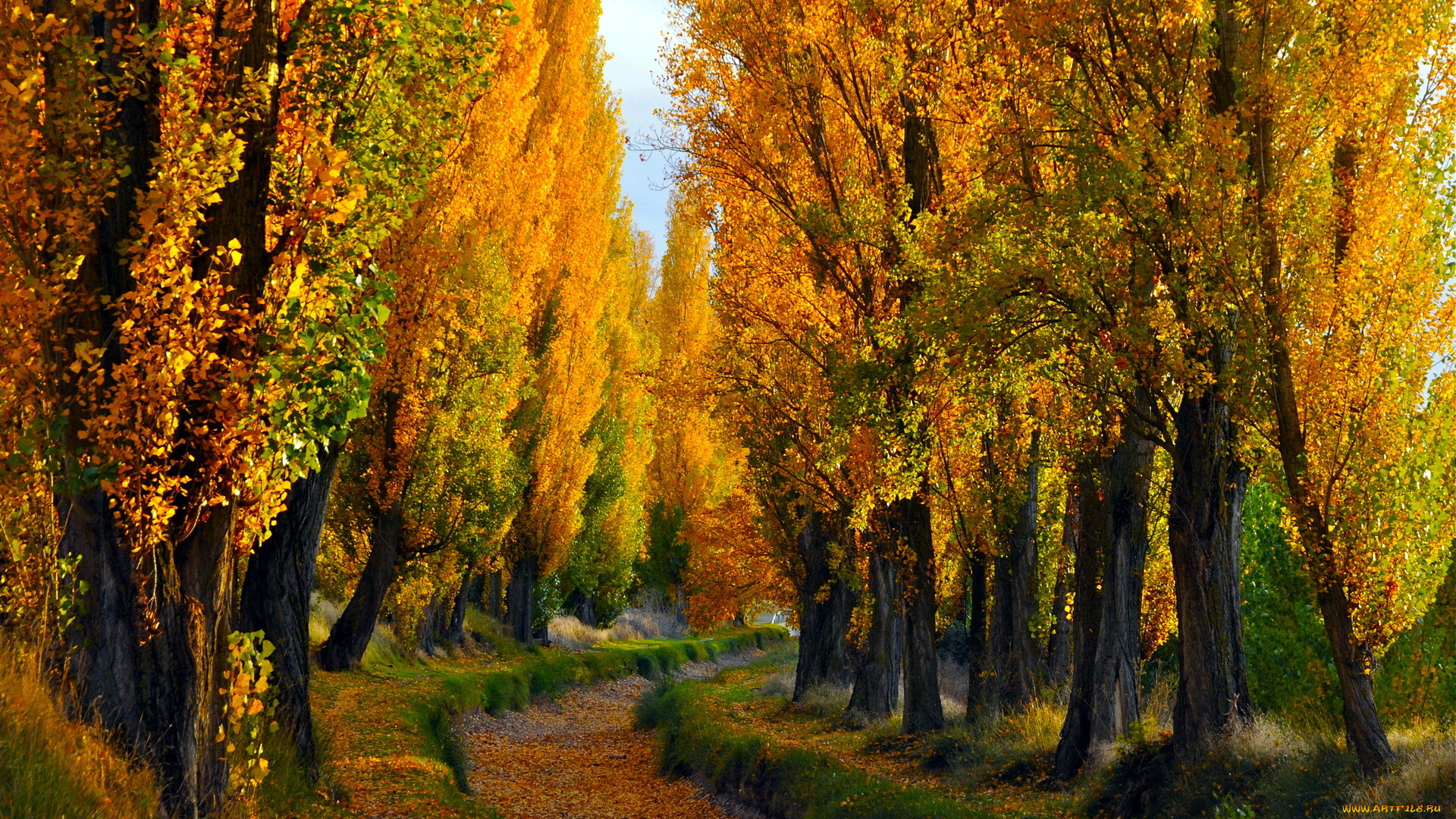 природа, дороги, осень, пейзаж