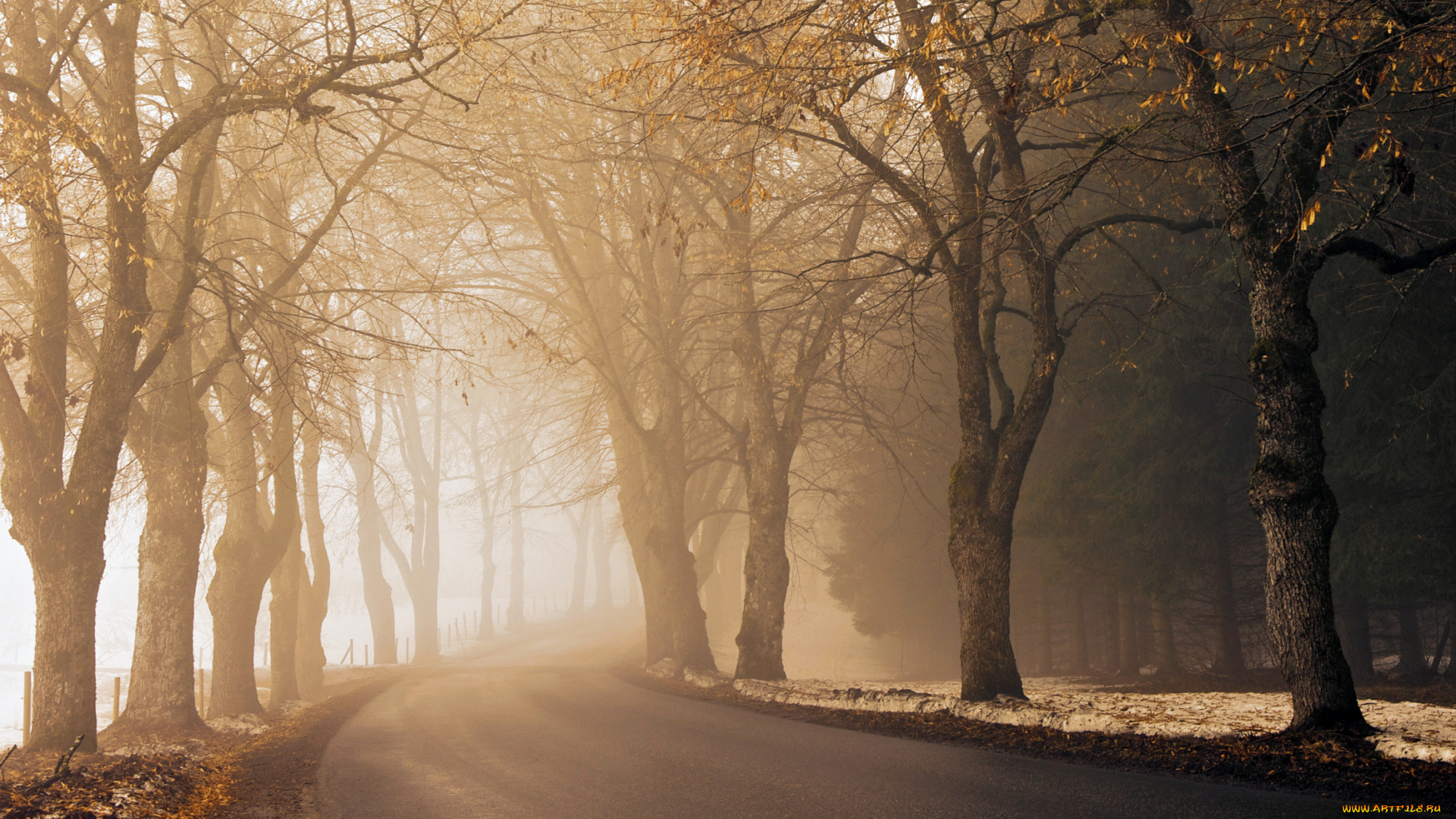 природа, дороги, поворот, туман, деревья, осень, дорога