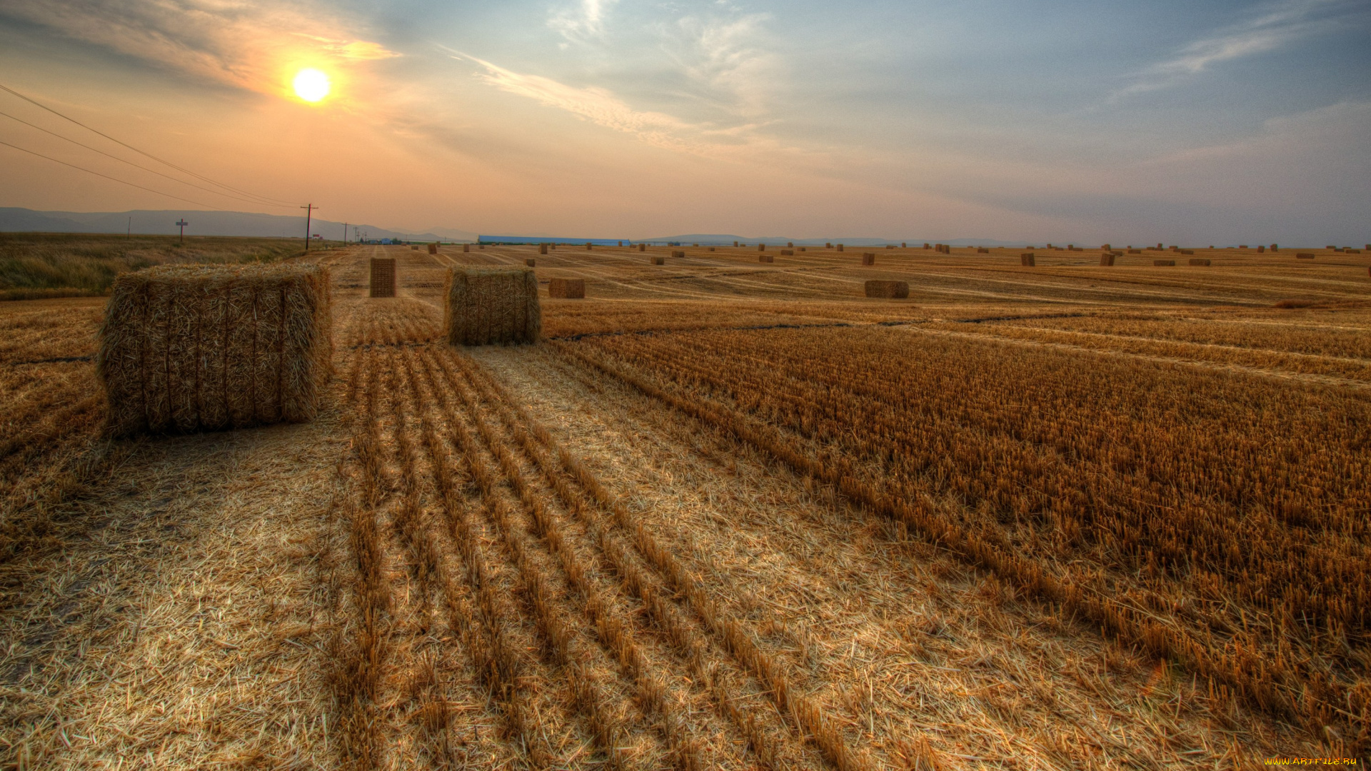 природа, поля, идахо