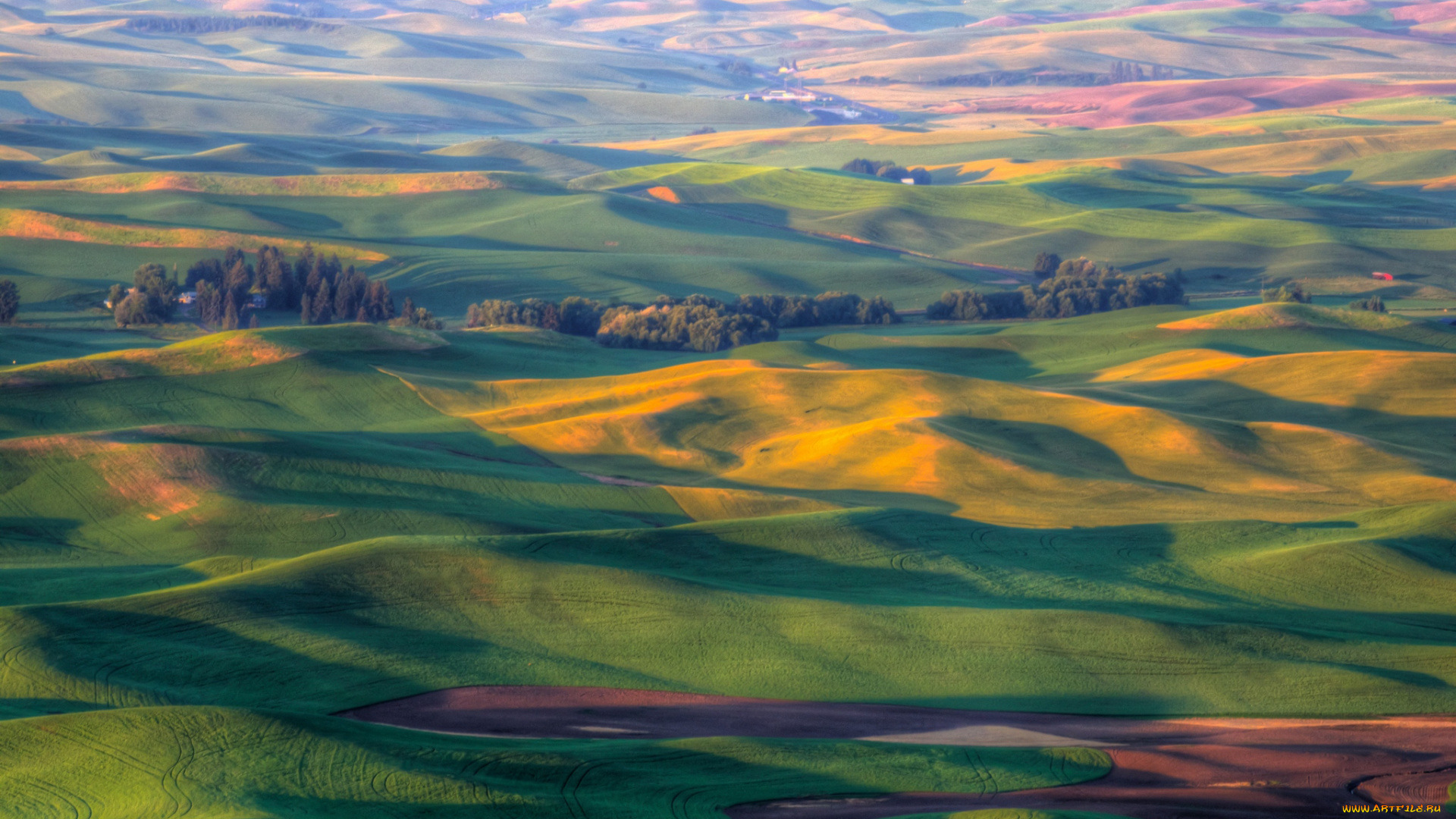 природа, поля, ландшафт, штат, вашингтон, сша