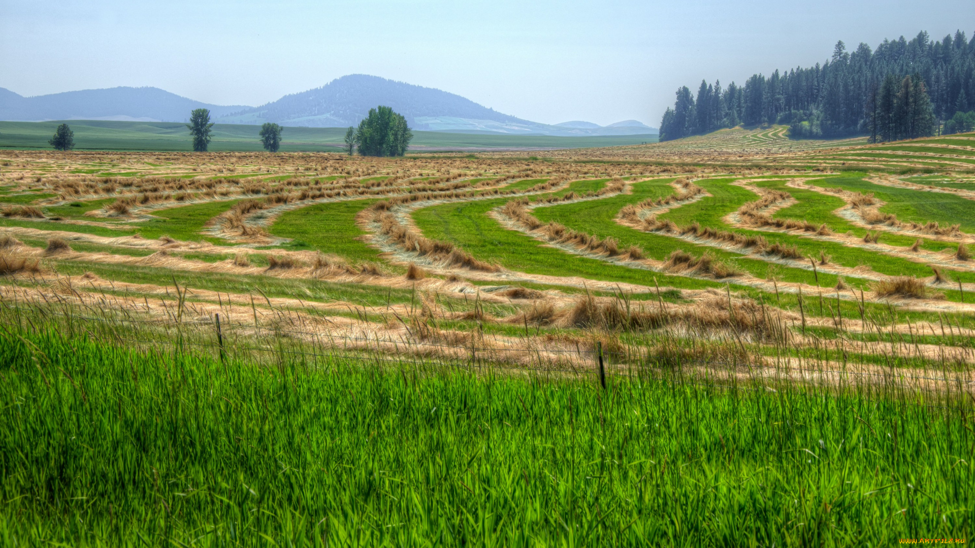 природа, поля, штат, монтана, сша