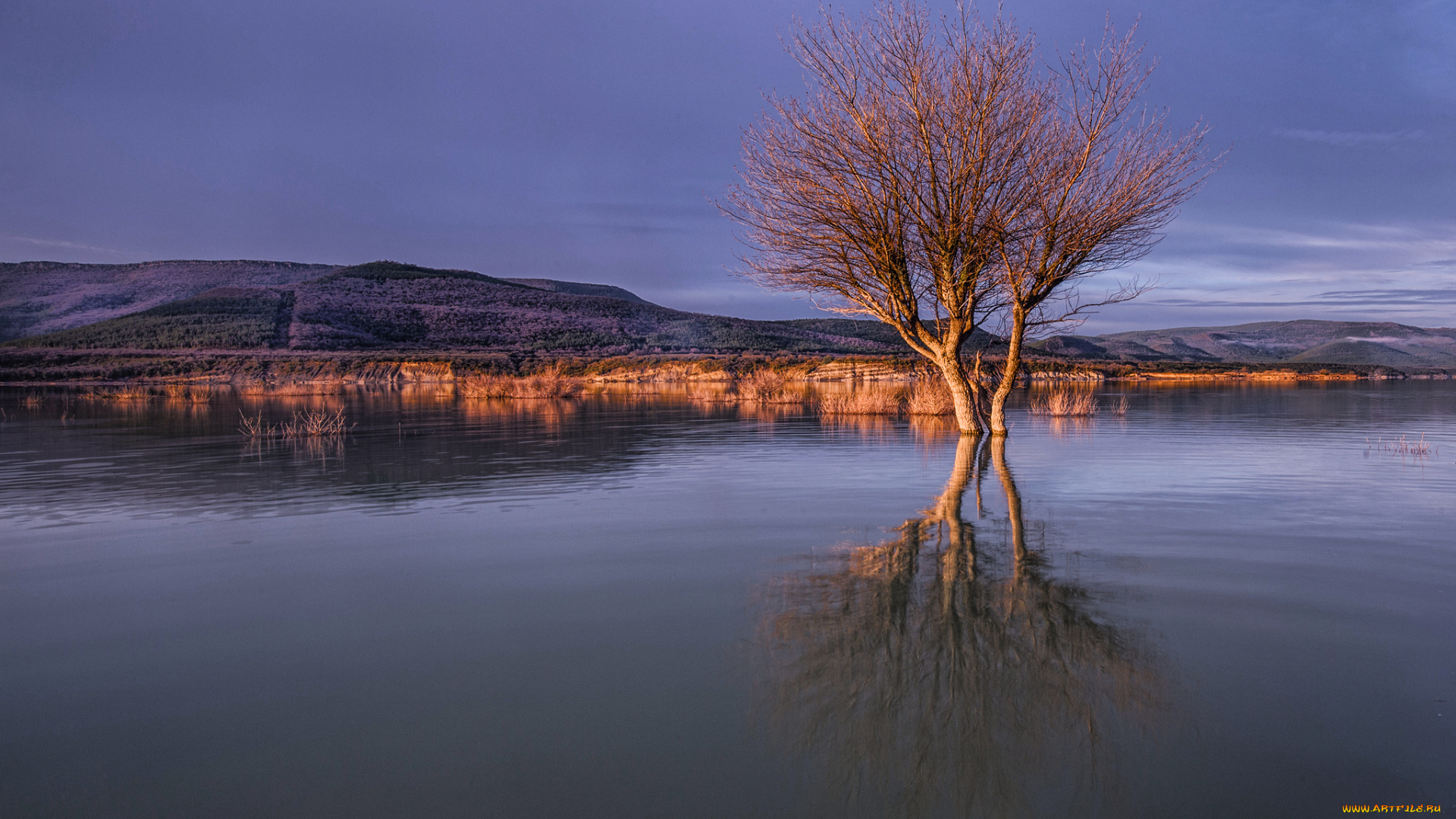 природа, реки, озера, тучи, холмы, дерево, озеро