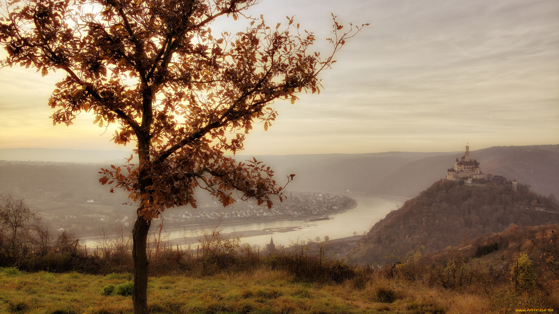 замок, максбург, германия, города, дворцы, замки, крепости, пейзаж, дерево