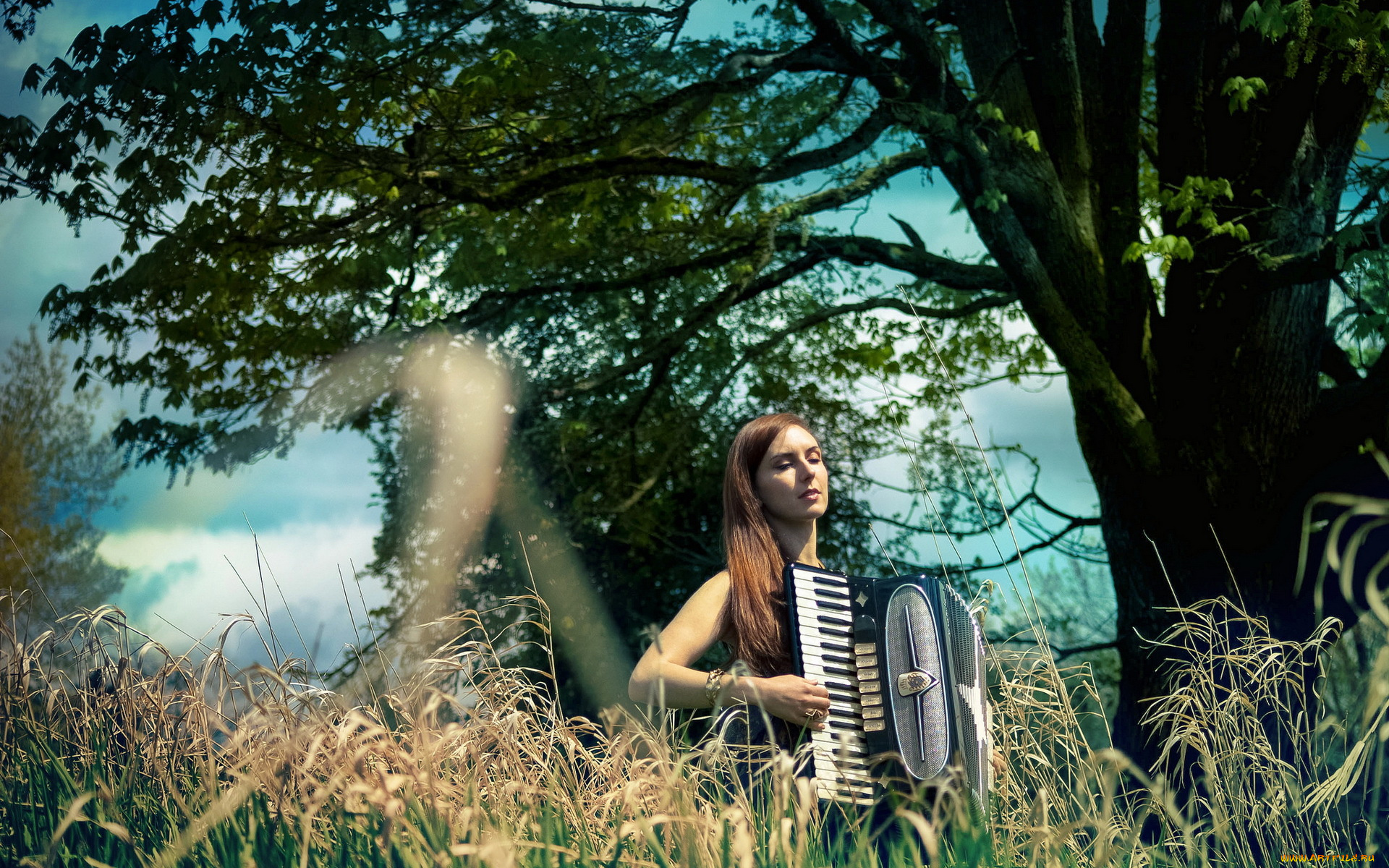 музыка, другое, аккордеон, девушка