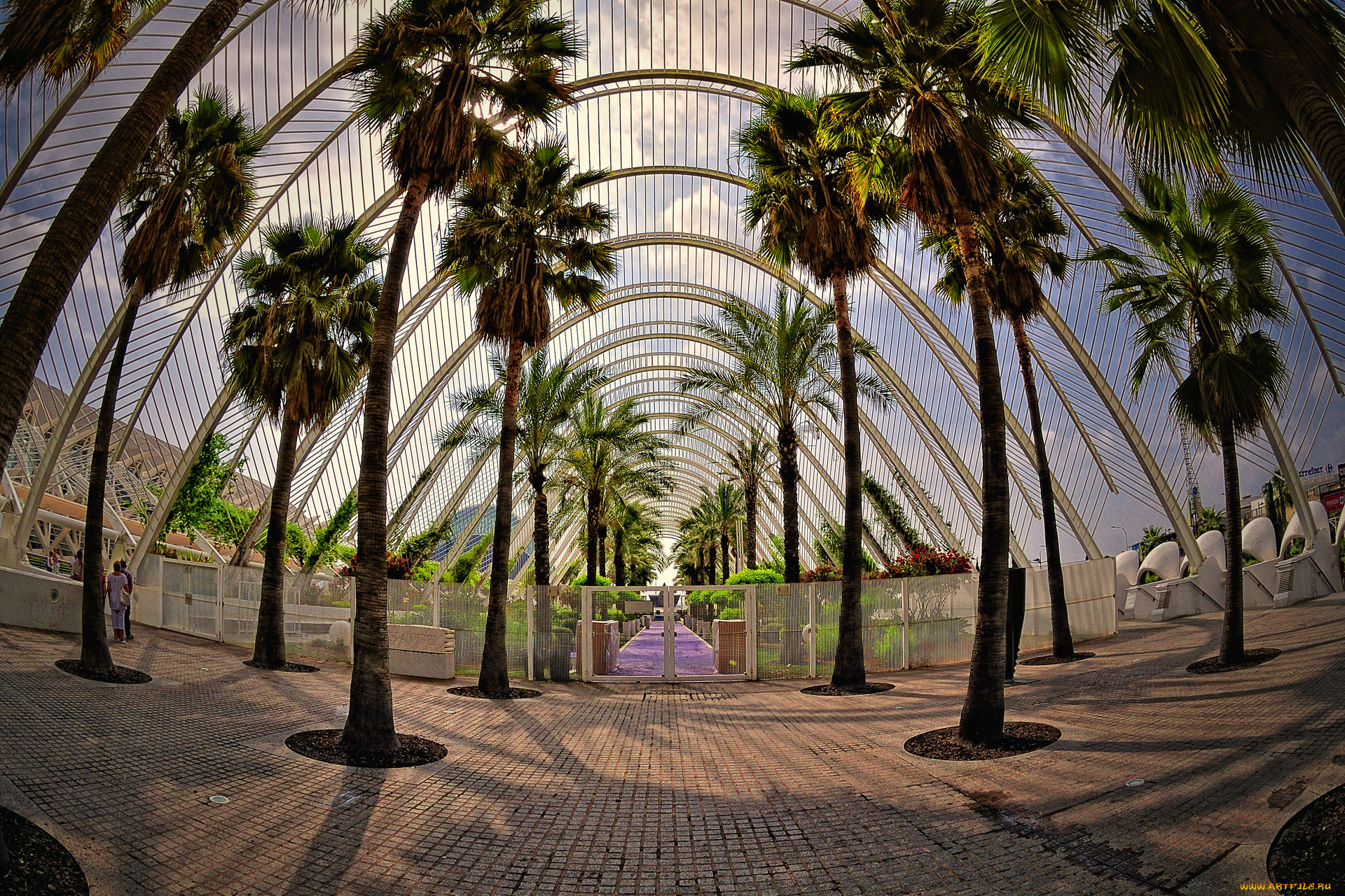 интерьер, другое, валенсия, сад, испания