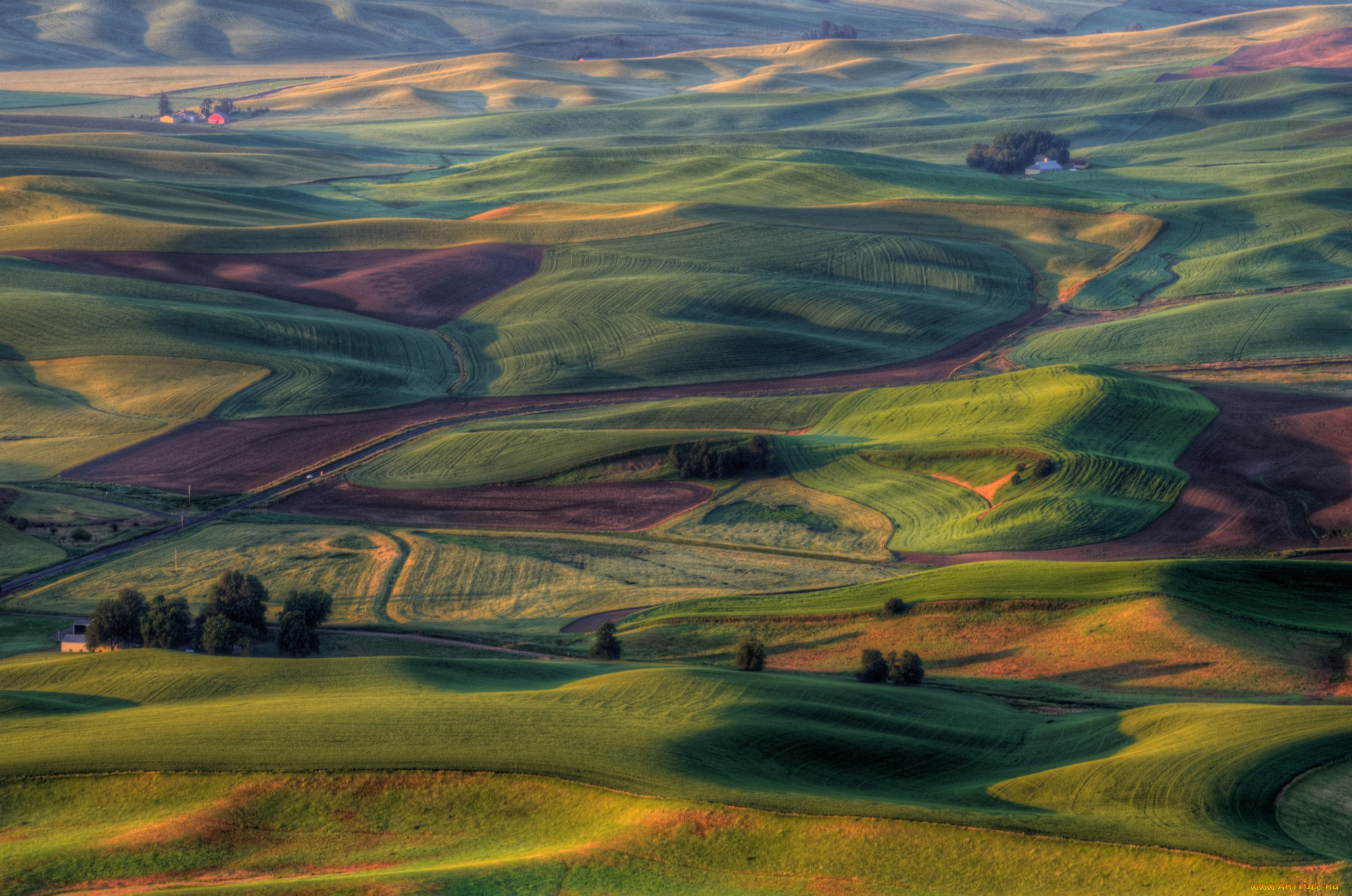 природа, поля, сша, ландшафт, штат, вашингтон